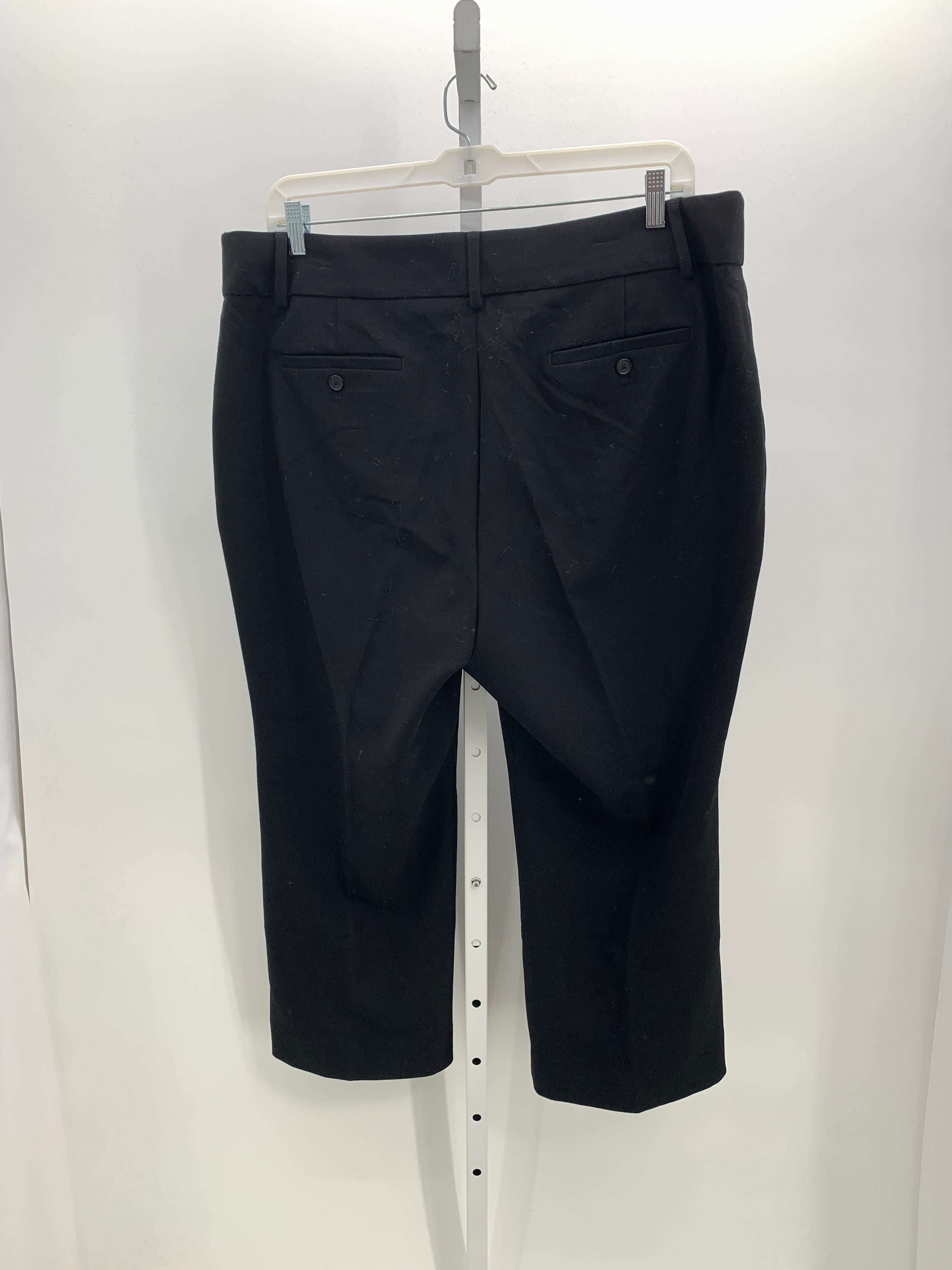 Loft Size 20WP Womens Pants