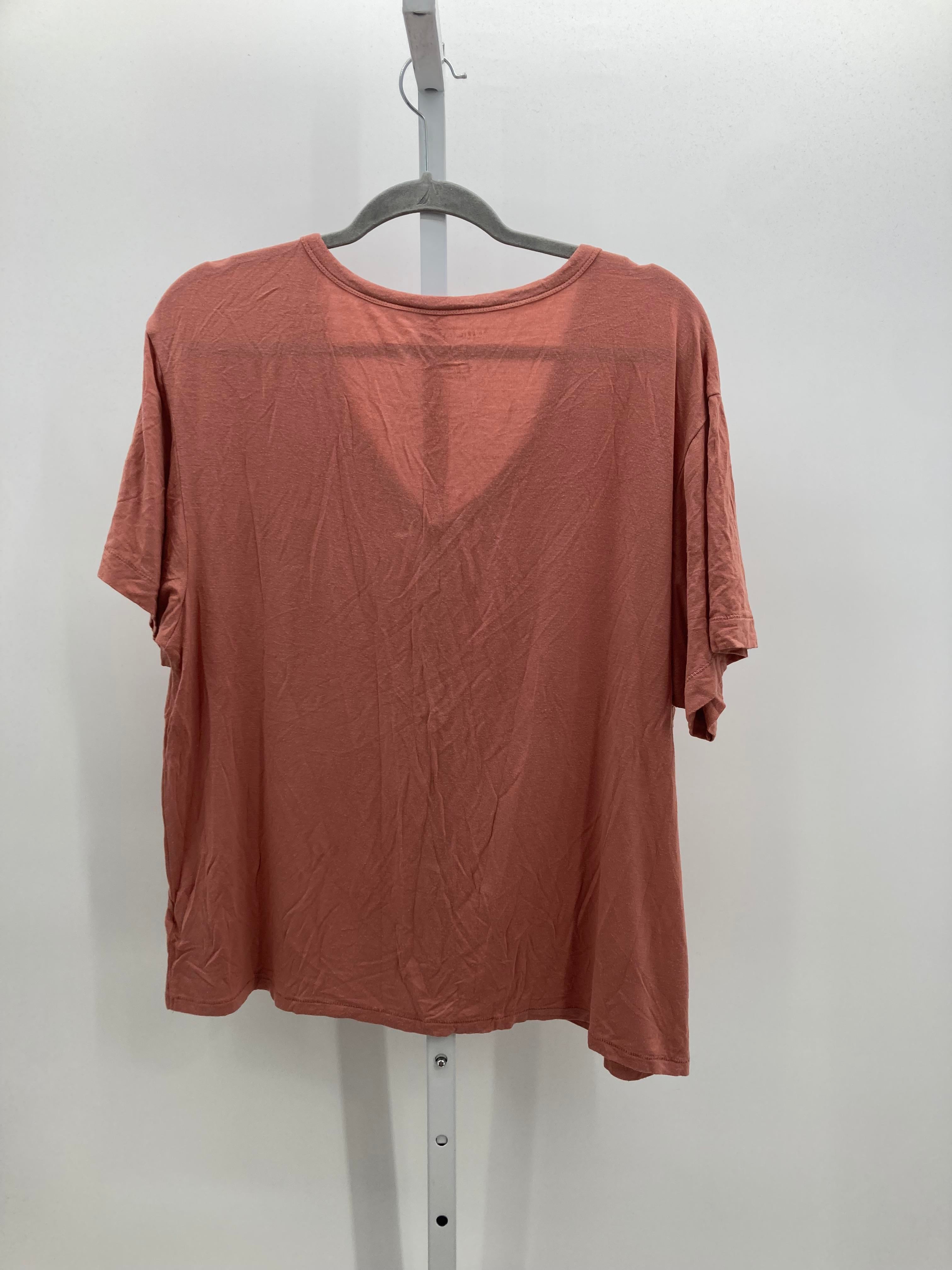 American Eagle Size Large Juniors Short Sleeve Shirt