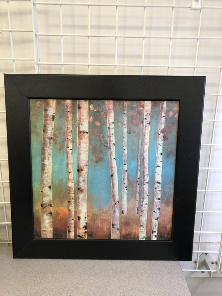 BIRCH TREE PAINTING IN BLACK FRAME.