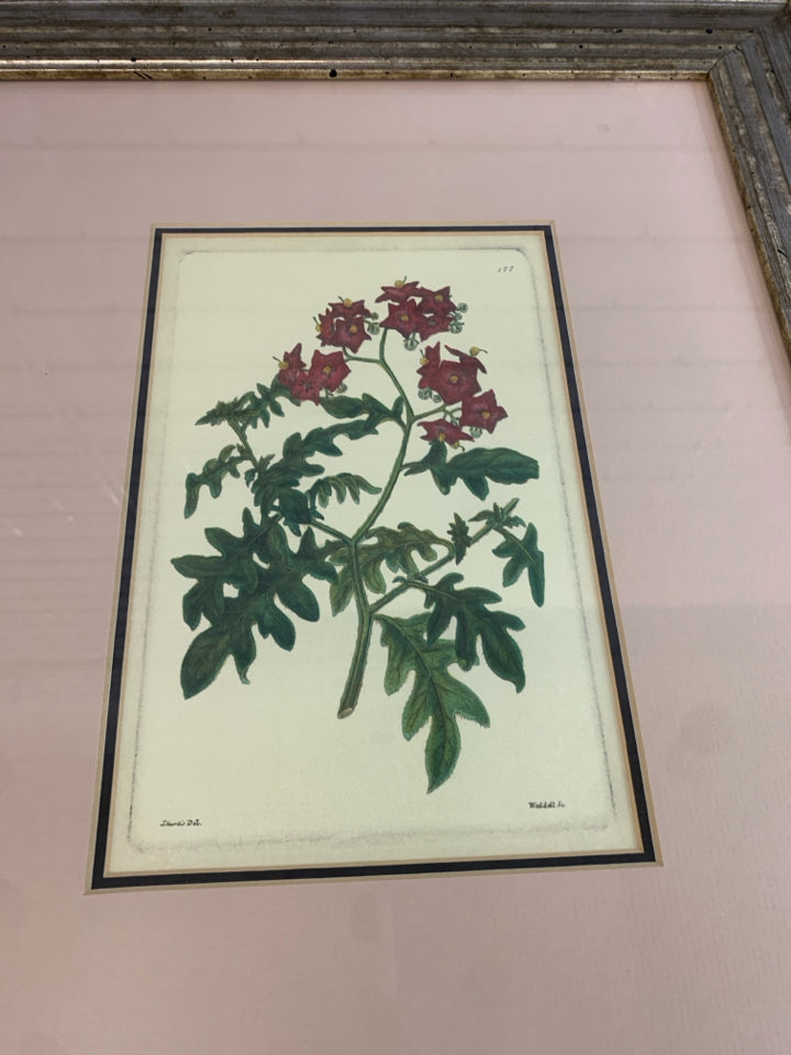 VTG "177" RED FLORAL ILLUSTRATION.