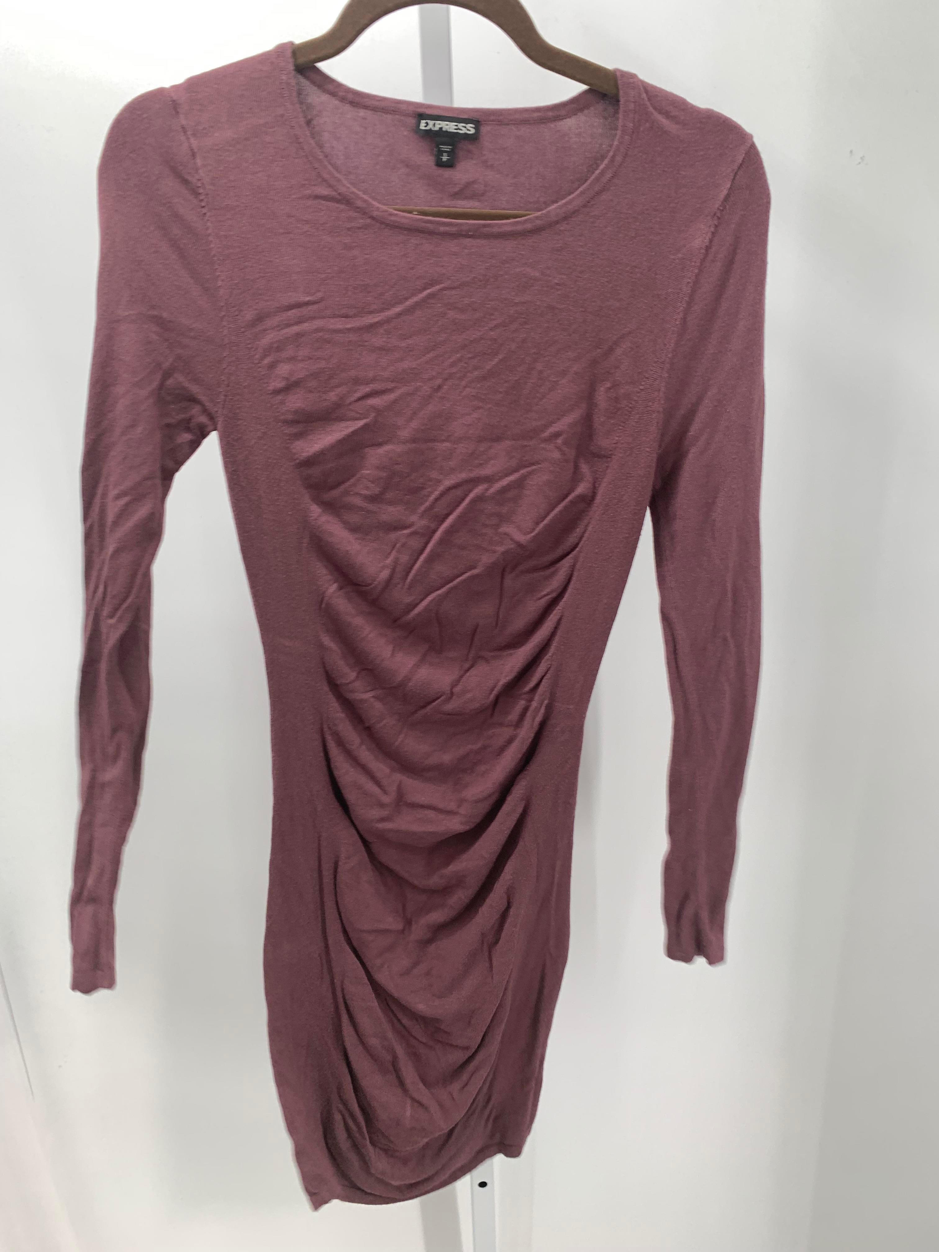 Express Size Small Misses Long Sleeve Dress