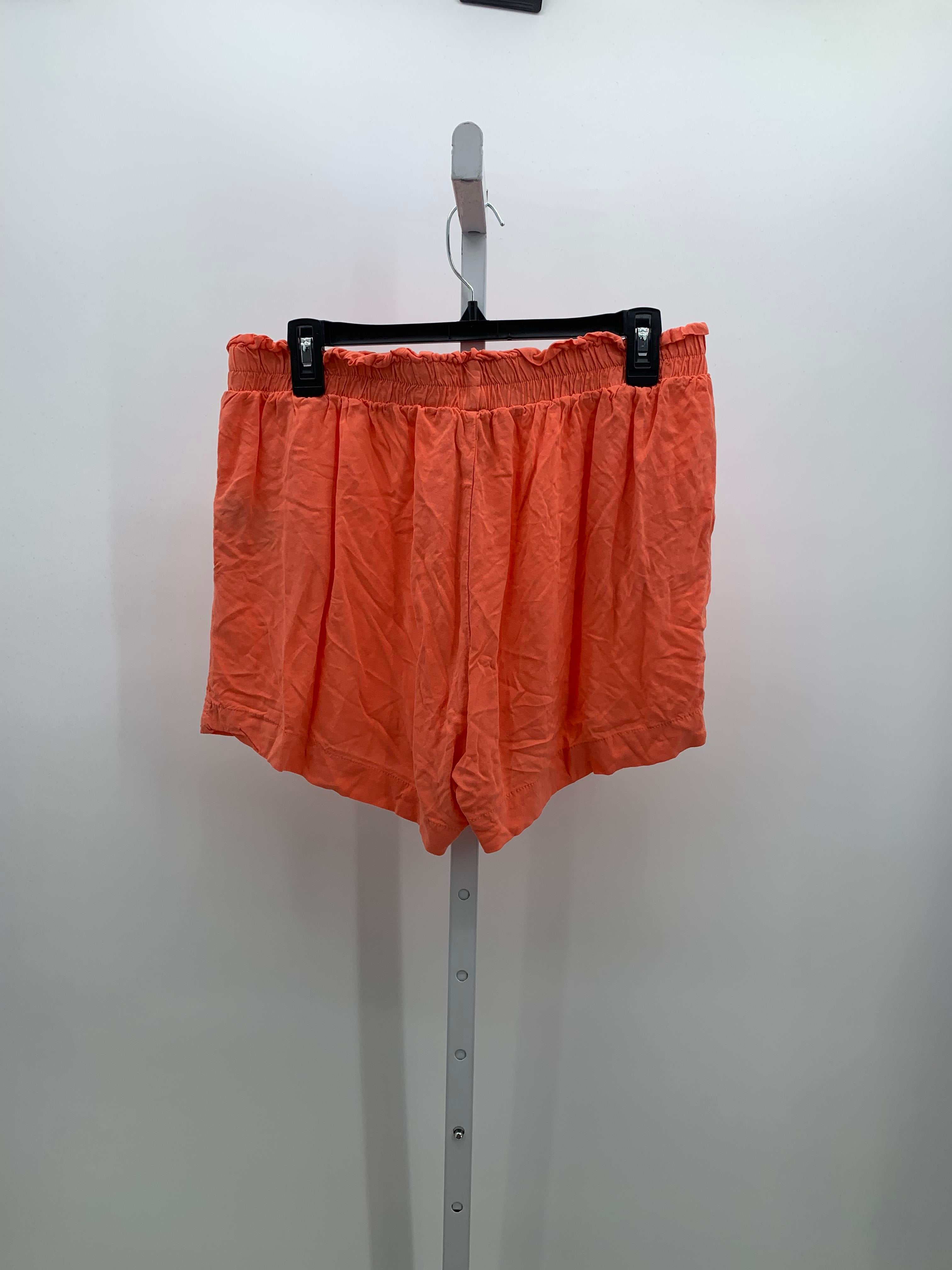Ci Sono Size Large Juniors Shorts