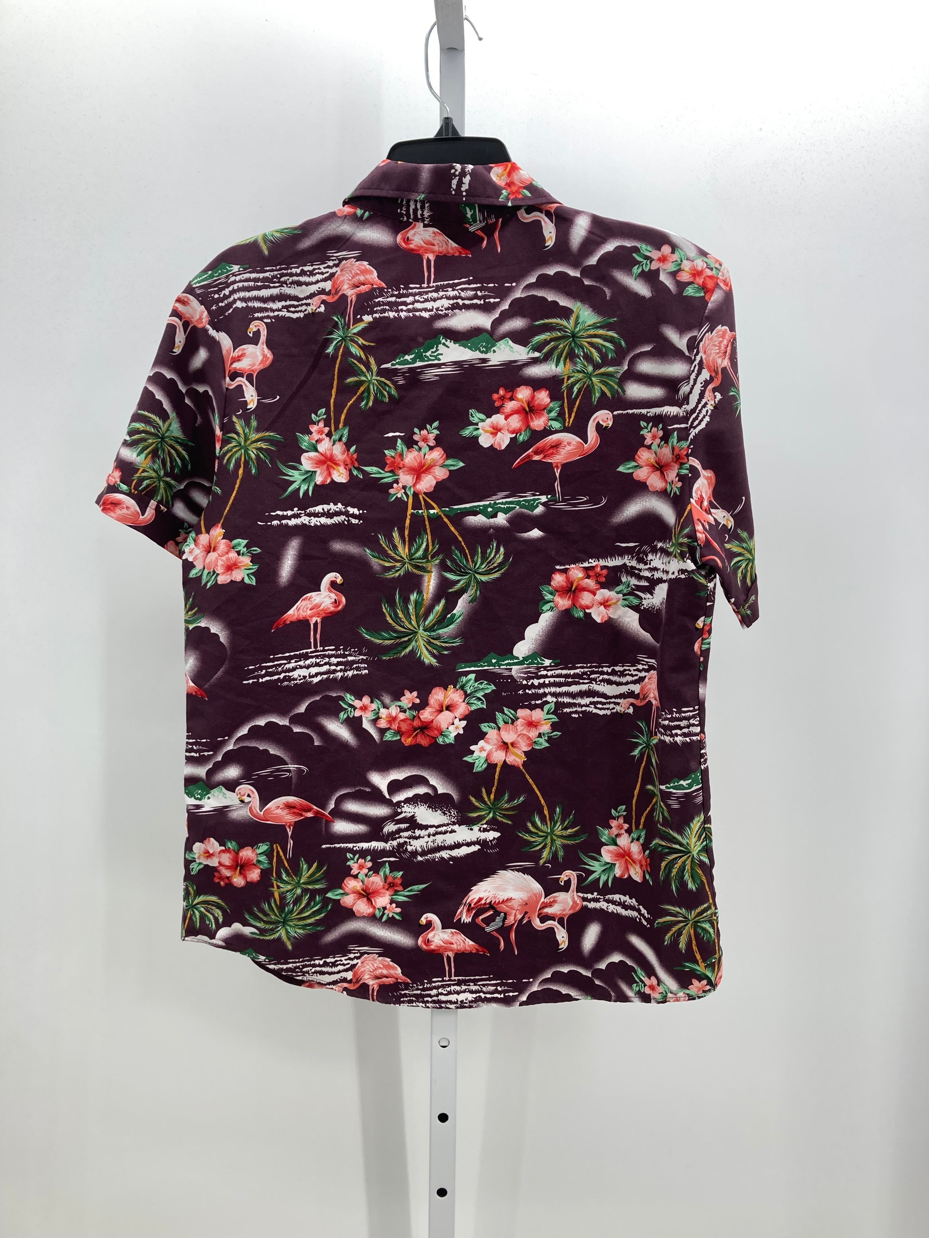 TROPICAL FLAMINGOS.