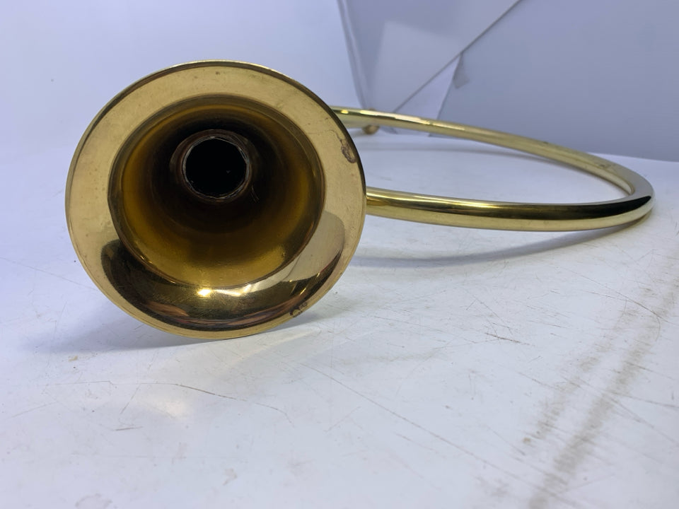 LARGE DECOR HORN.