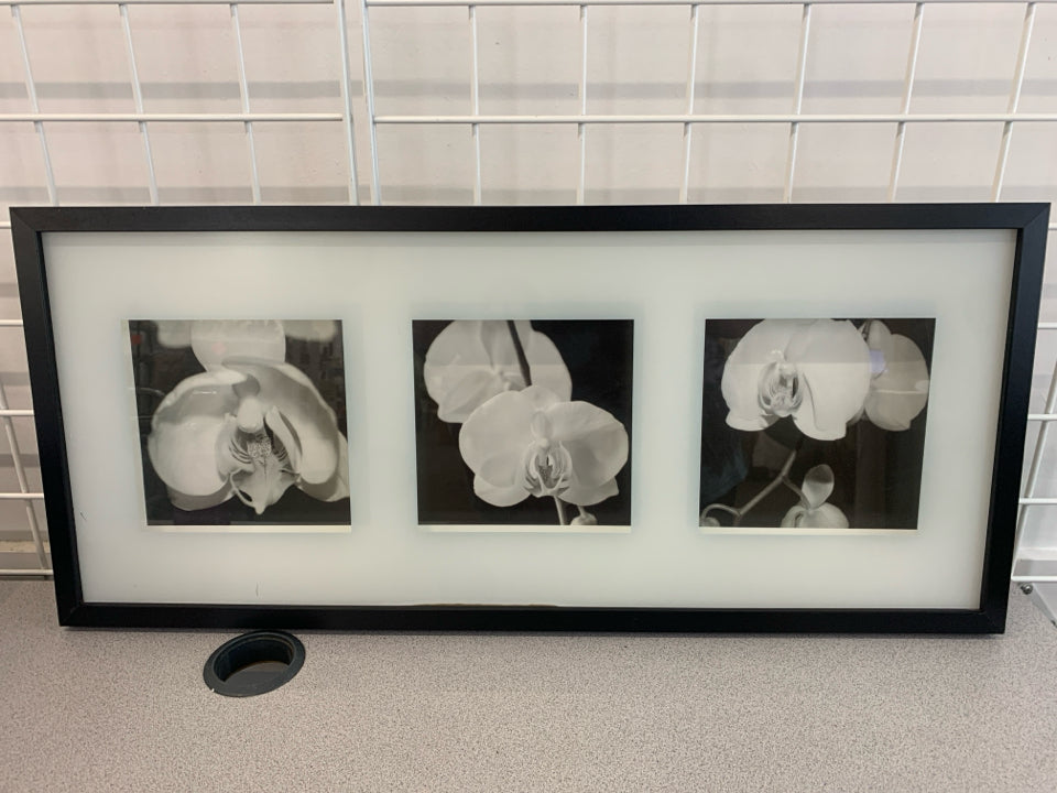 BLACK AND WHITE ORCHID FLOWERS IN SHADOWBOX FRAME.