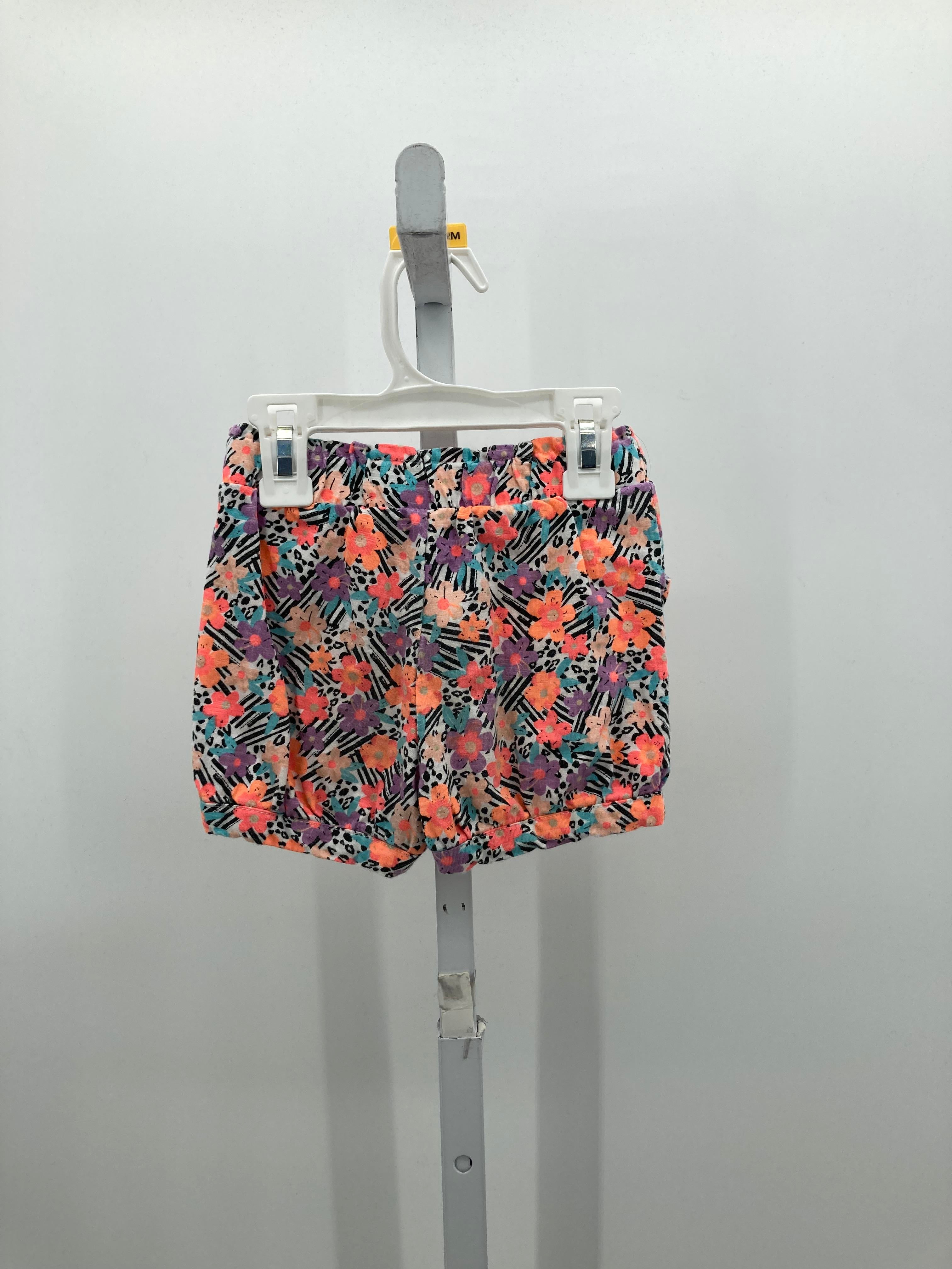 Koala Kids Size 3T Girls Shorts