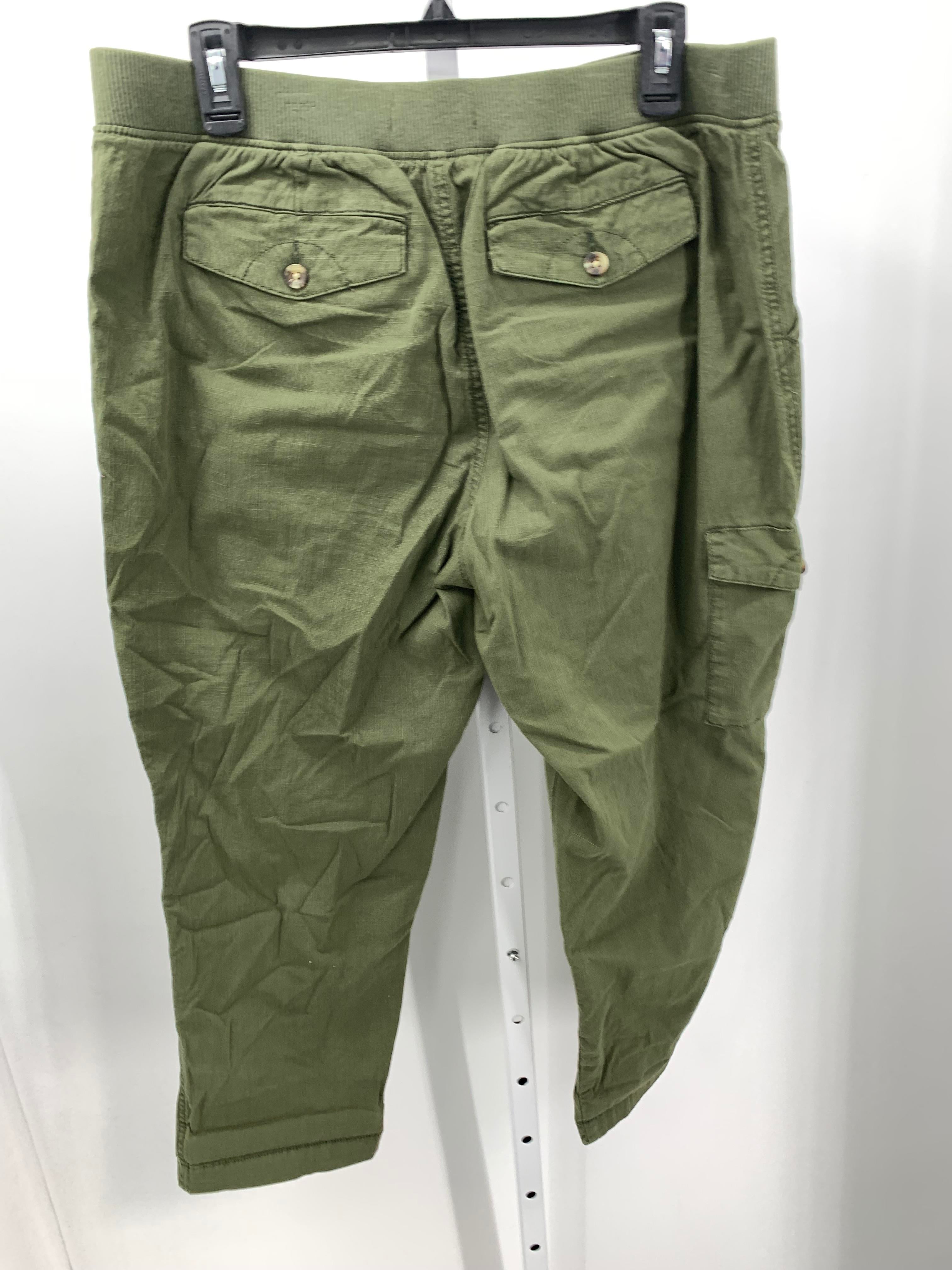 Sonoma Size 14 Misses Pants