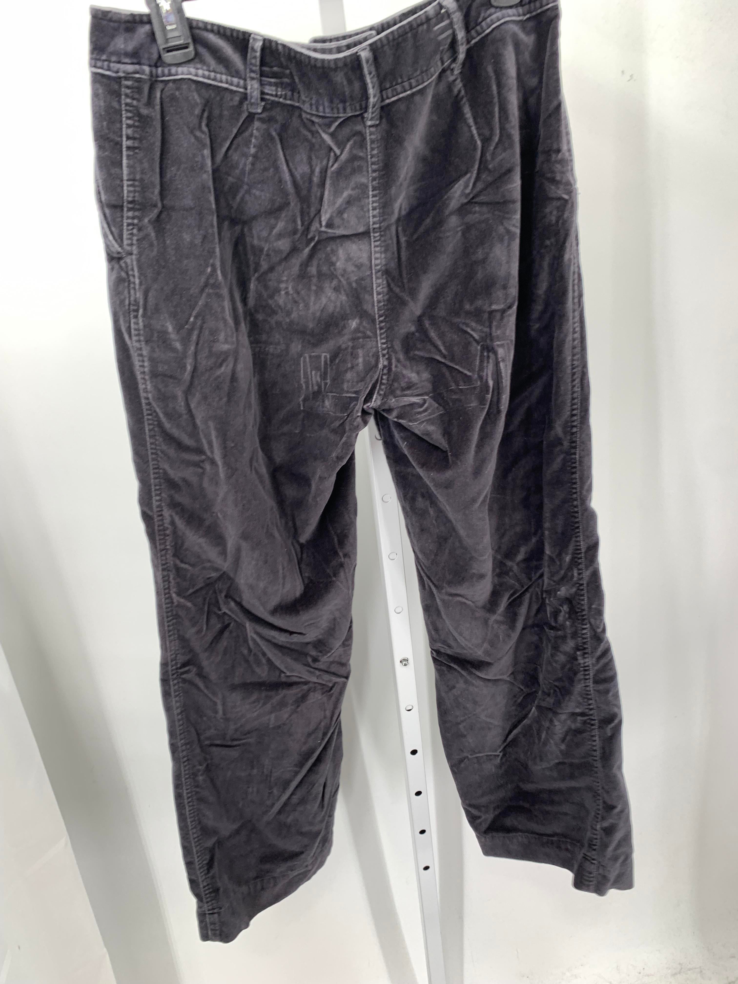 J-Jill Size 10 Petite Petite Pants