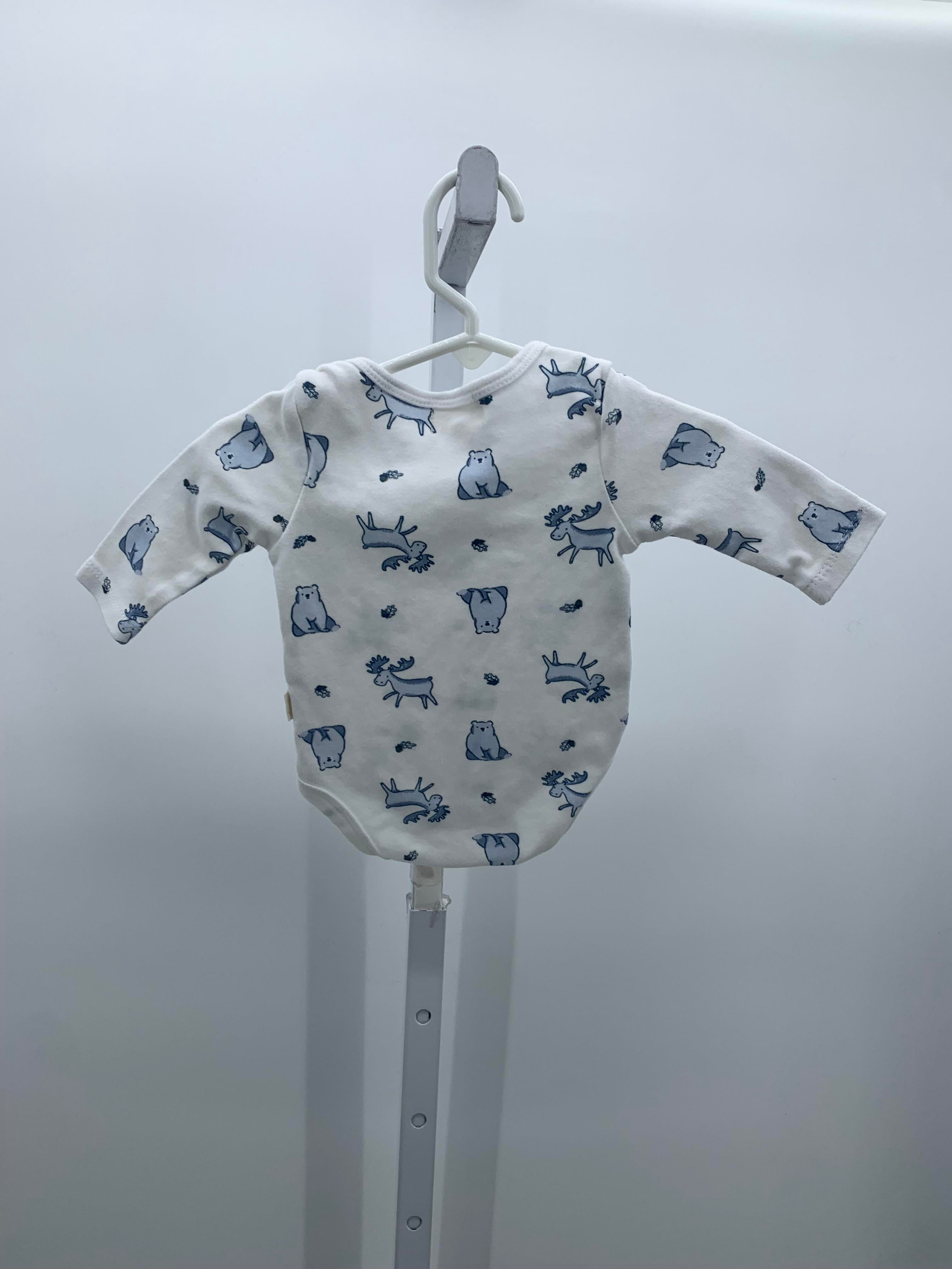 BLUE FOREST ANIMALS
