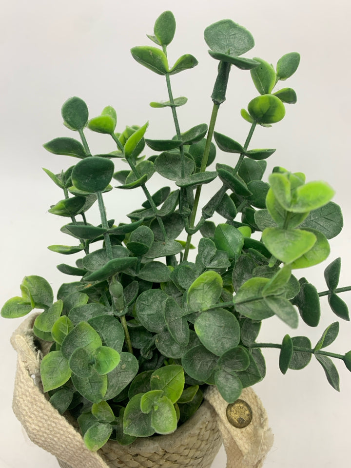 FAUX EUCALYPTUS IN RESIN BAG PLANTER.
