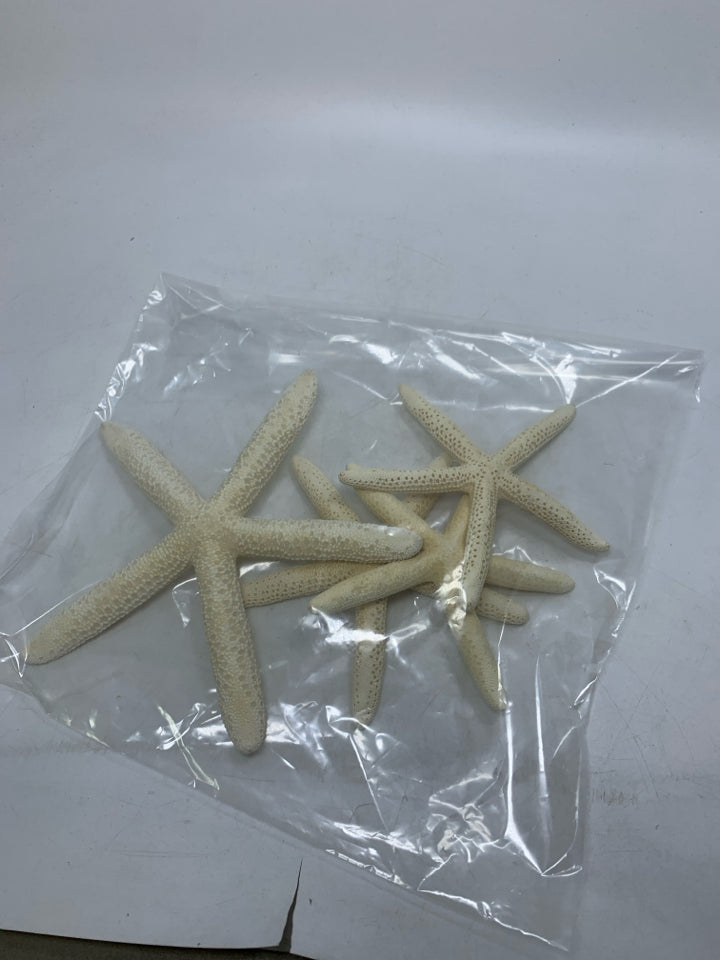 4 FINGER STARFISH IN BAG.