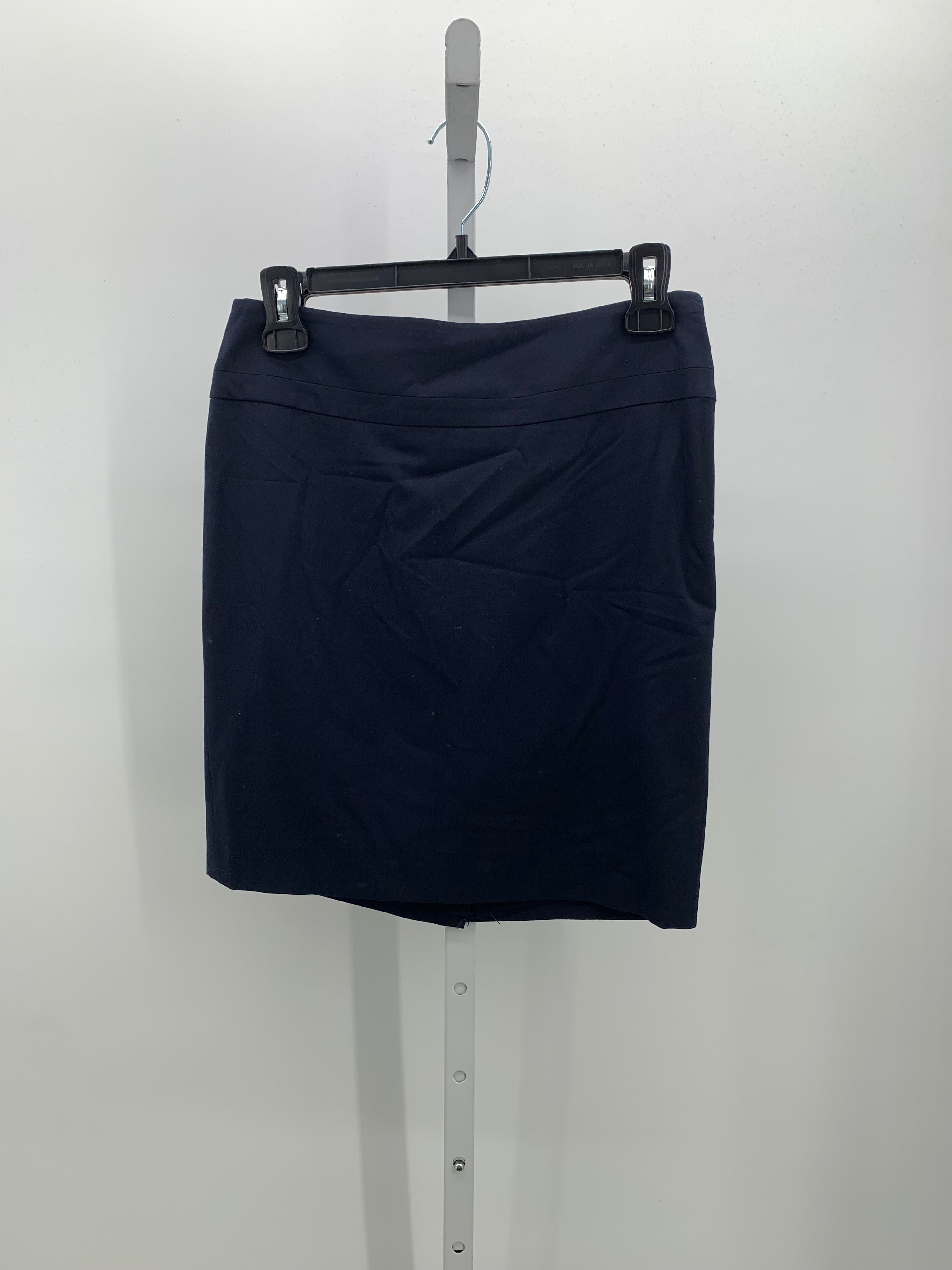 The Limited Size 4 Misses Skirt