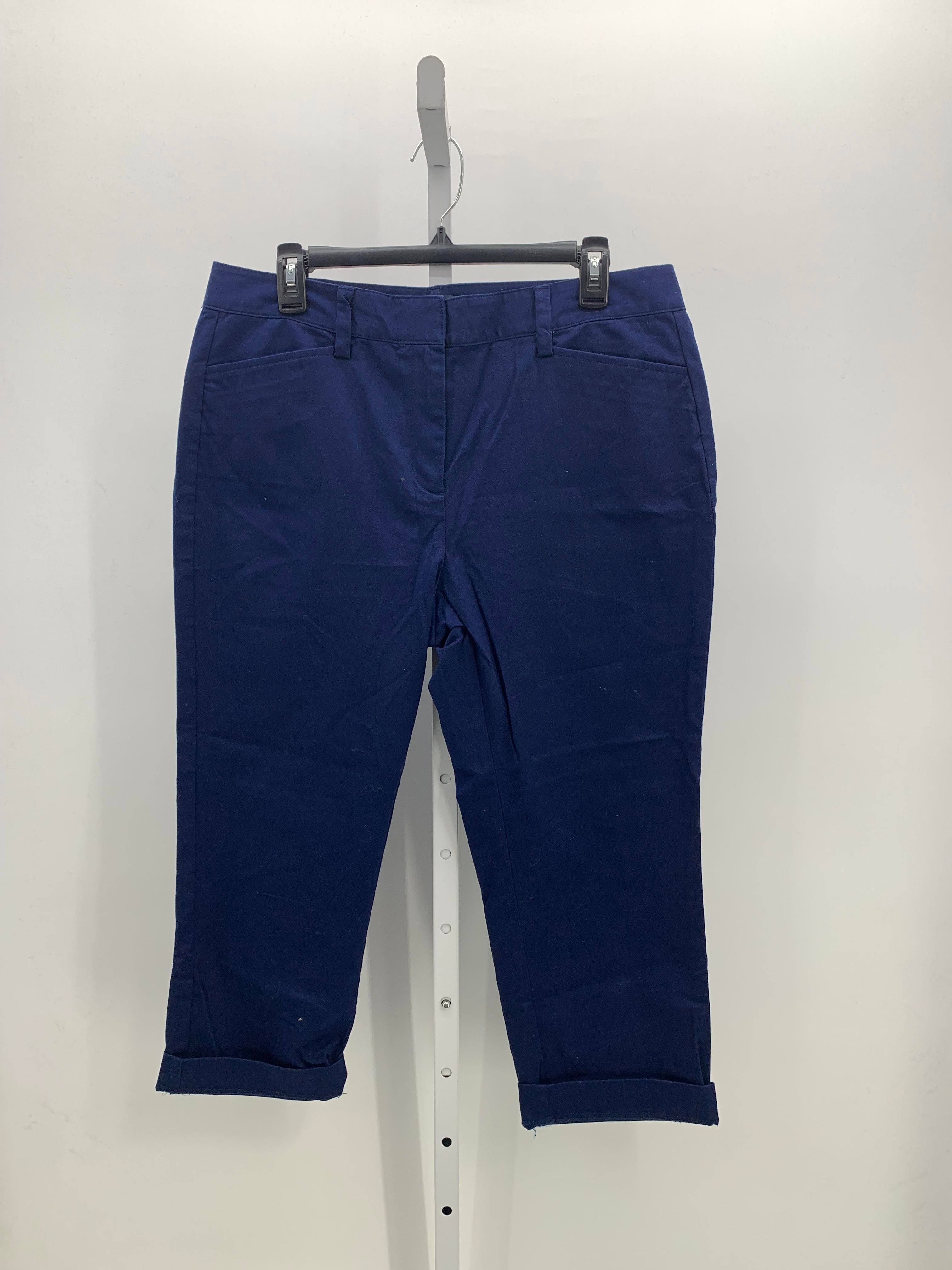 Lands End Size 12 Petite Petite Cropped Pants