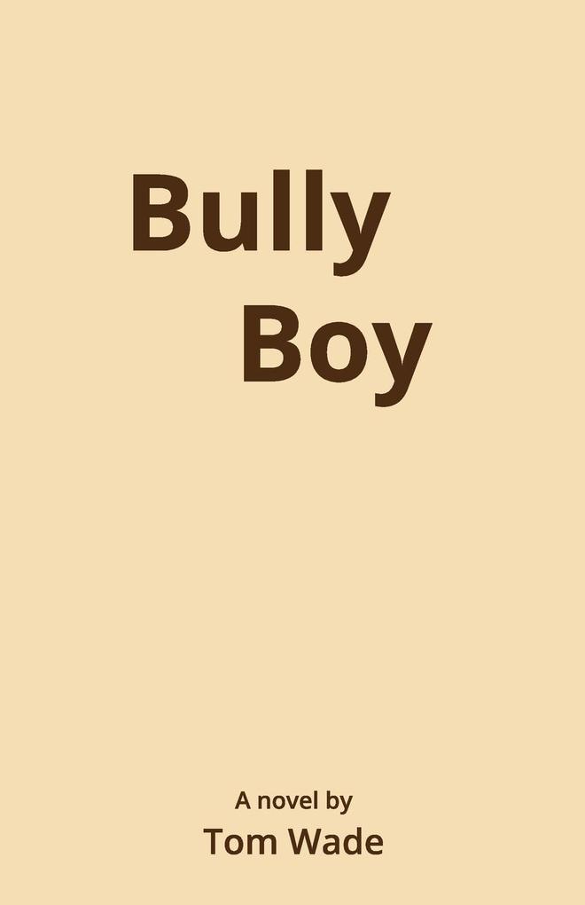 Bully Boy (Paperback) -