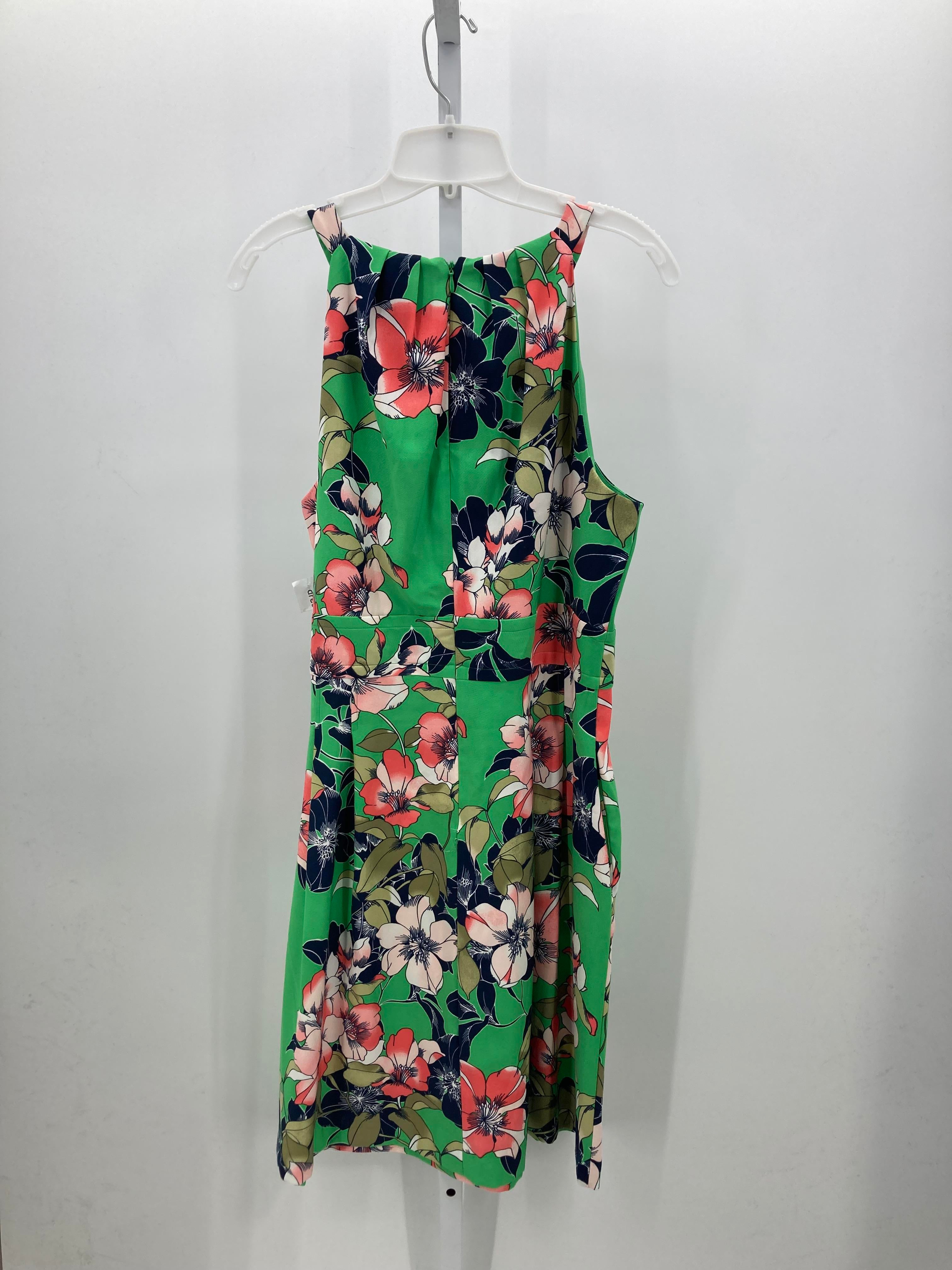 db Size 16 Misses Sleeveless Dress