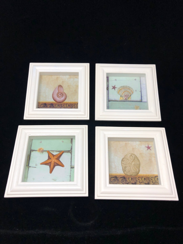 4 SEASHELLS IN SHADOWBOX FRAMES.