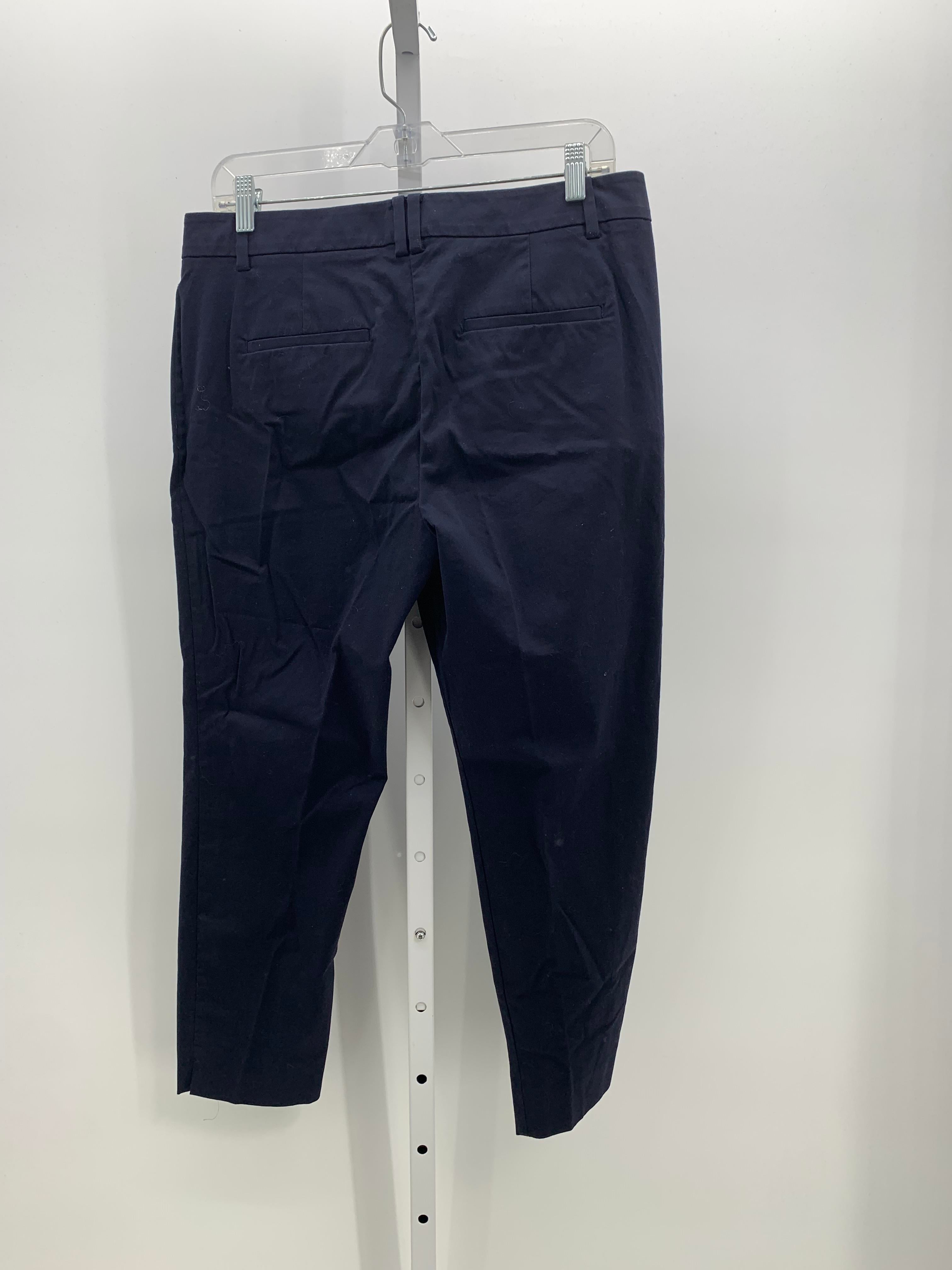 Ann Taylor Size 8 Misses Pants