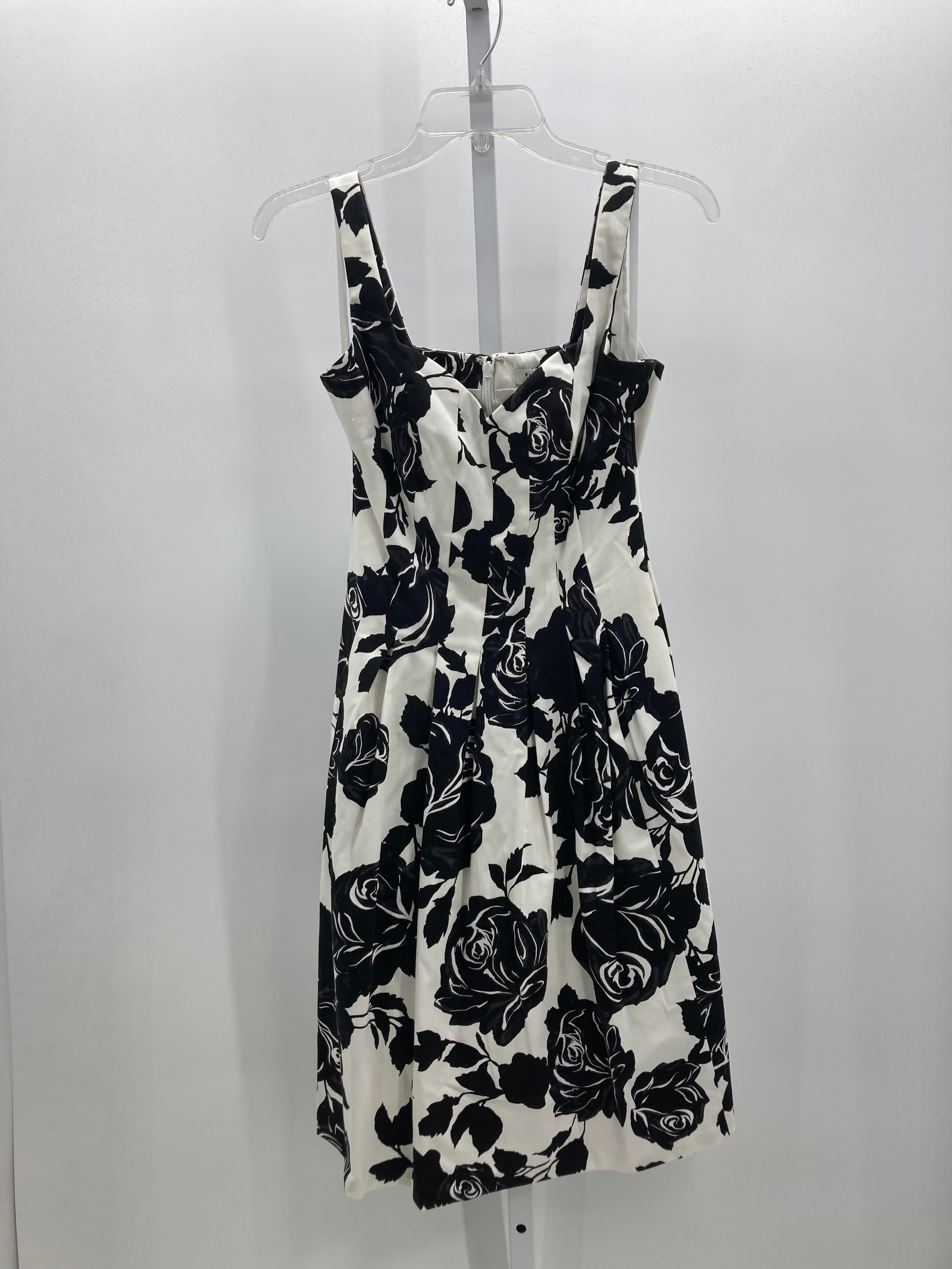 White House Black Size 4 Misses Sleeveless Dress