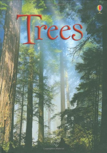 Usborne Beginners: Trees - Lisa Gillespie