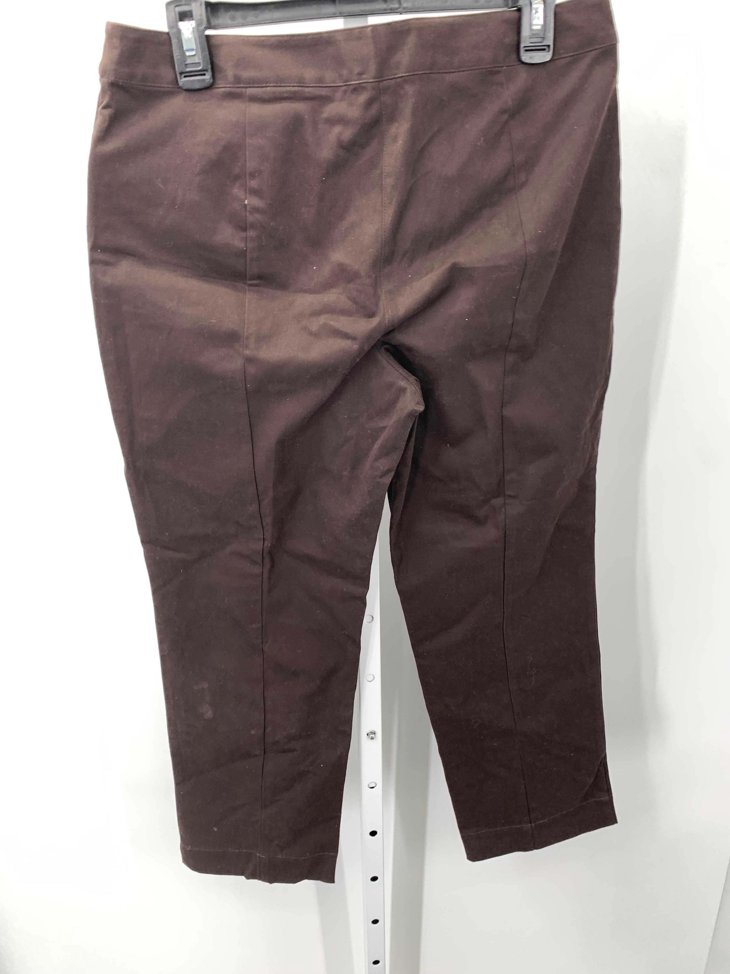 Talbots Size 12 Petite Petite Pants