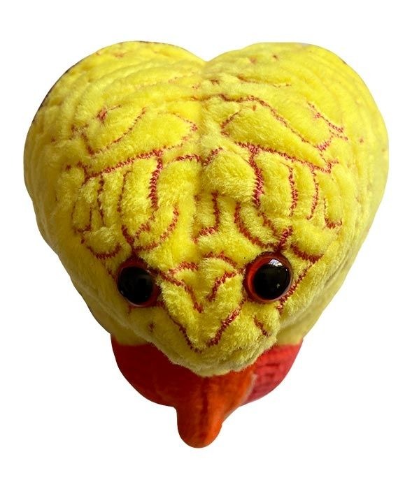 GIANT Microbes Anxiety