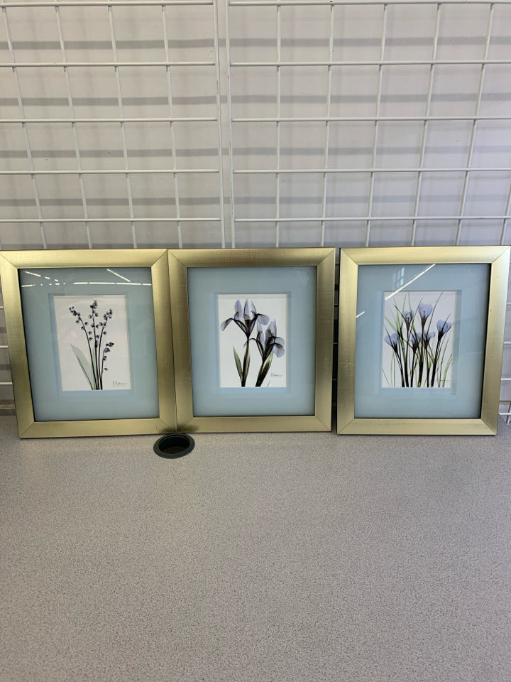 3PC FRAMED BLUE BOTANICAL X-RAY PRINTS ALBERT KOETSIER.