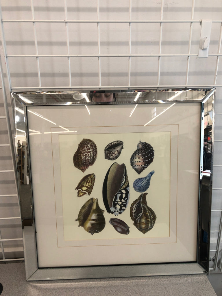 SHELL PRINT IN MIRRORED FRAME.