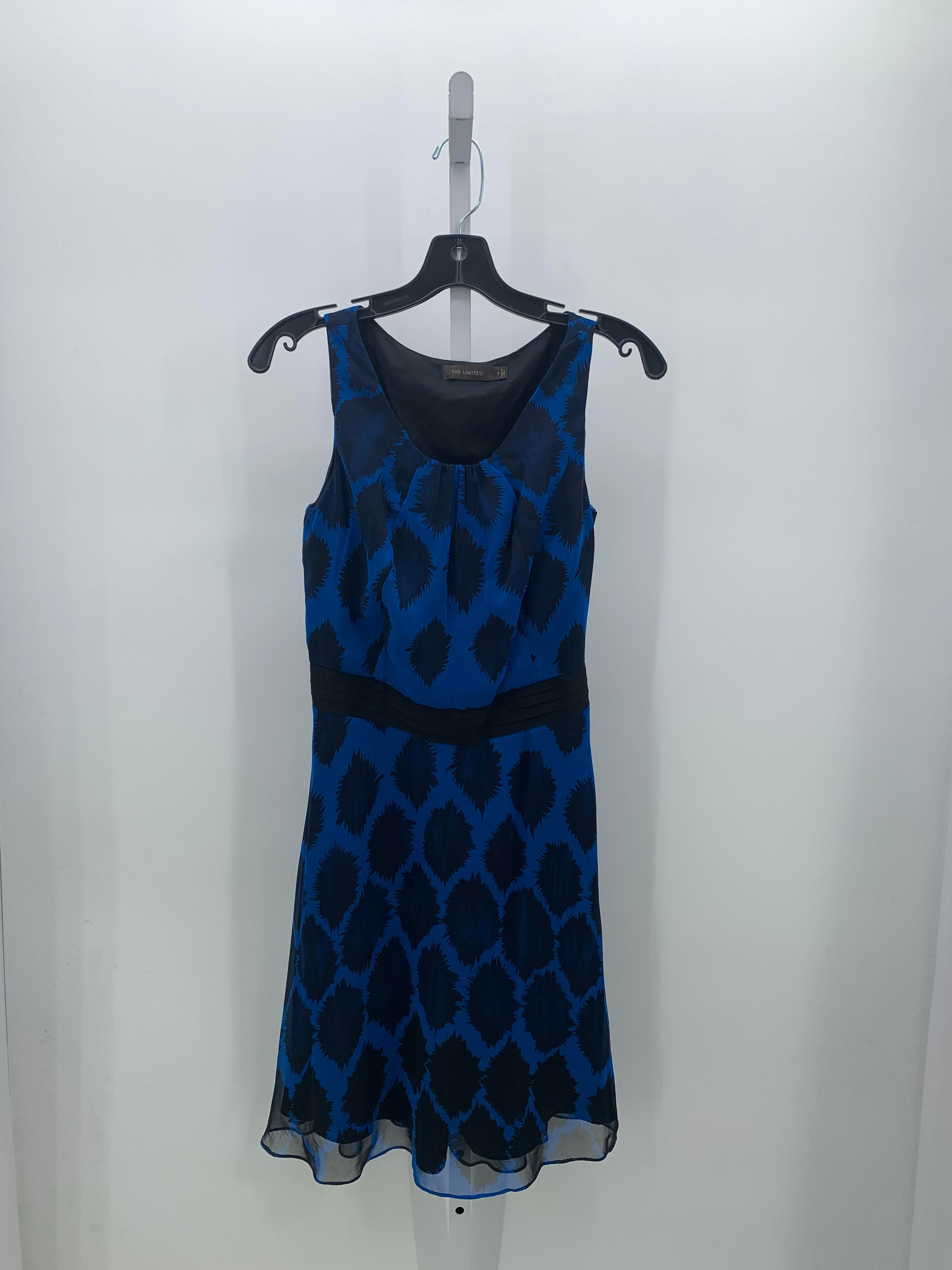 The Limited Size 2 Misses Sleeveless Dress
