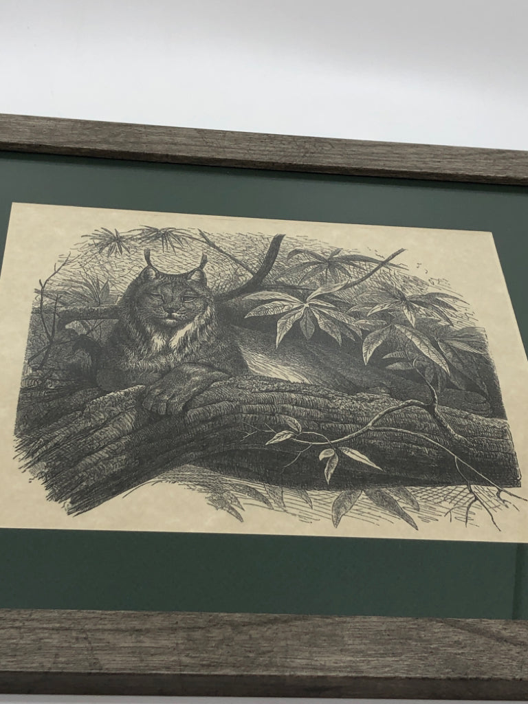 LYNX ARTIST DRAWING IN GREY FRAME.