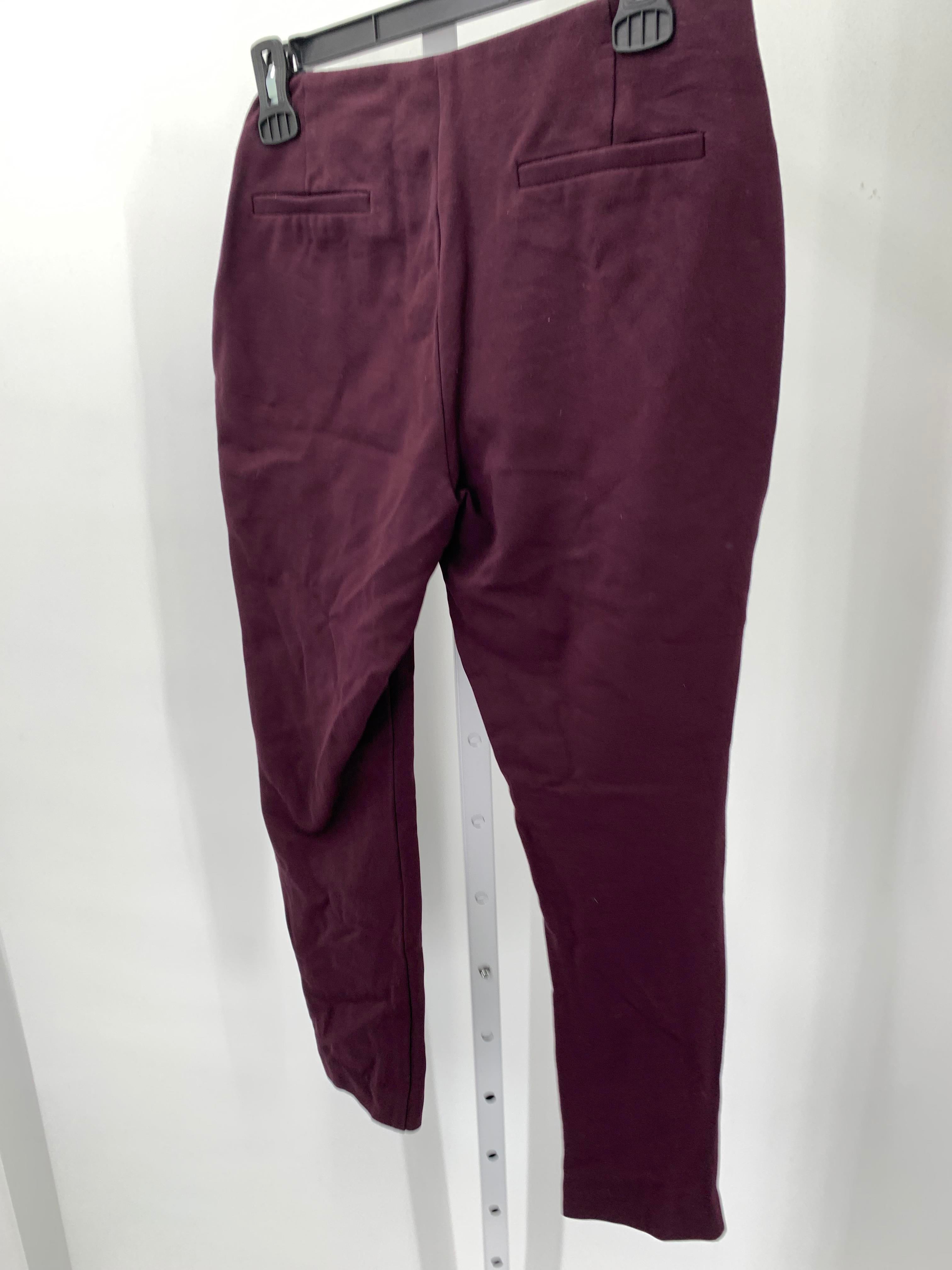 Alfani Size 10 Petite Petite Pants