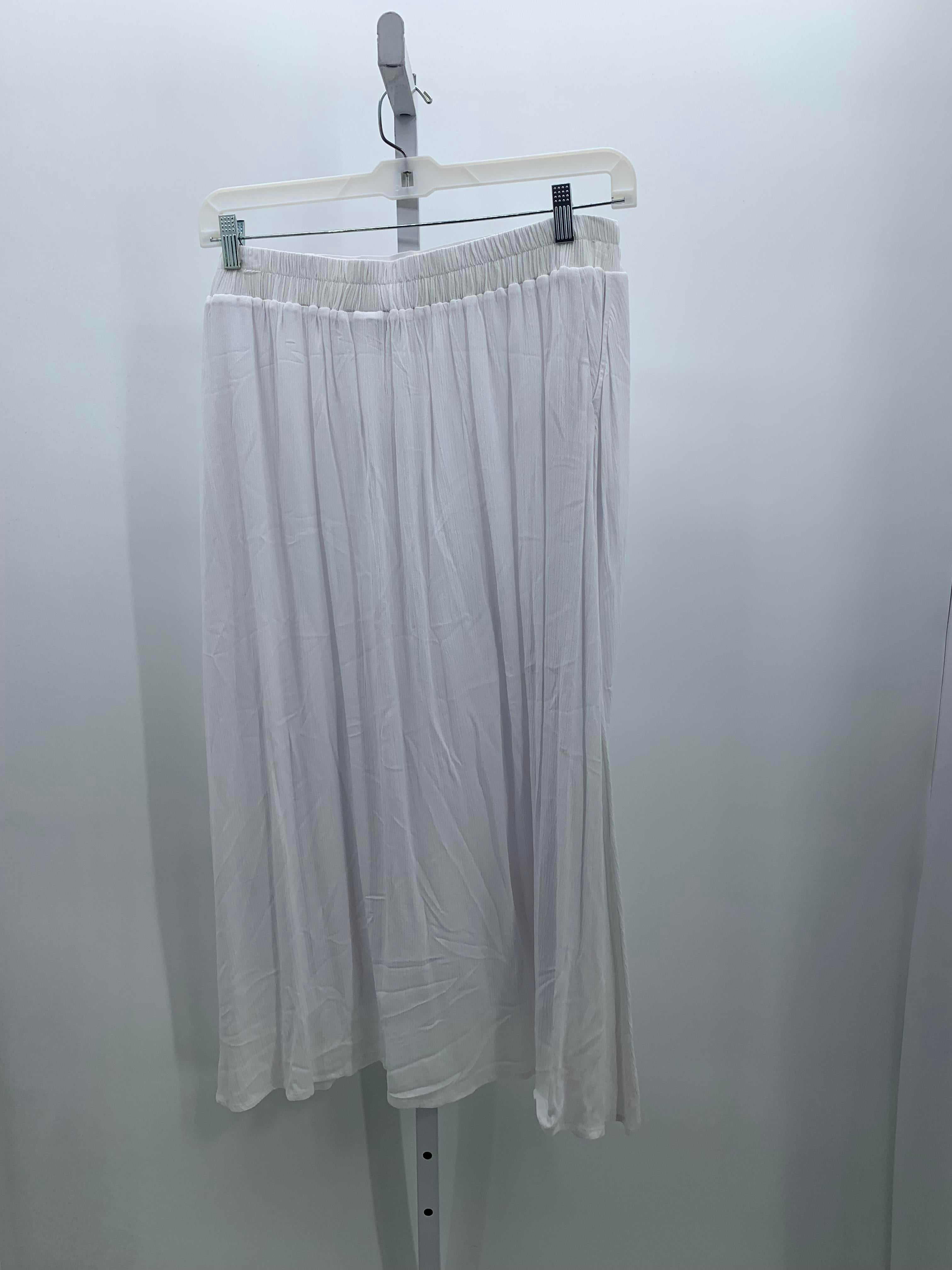 Christopher & Banks Size Extra Large Misses Skirt