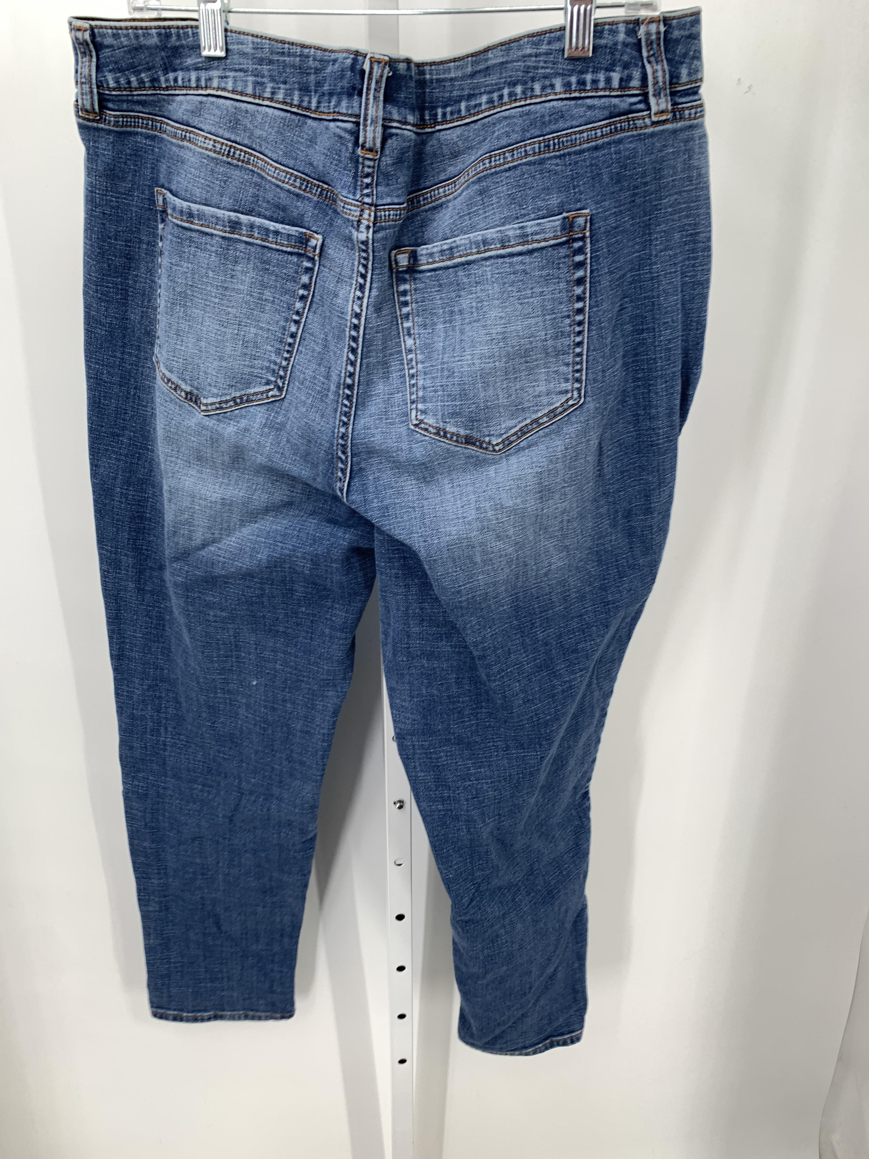 Venezia Size 16 Misses Jeans