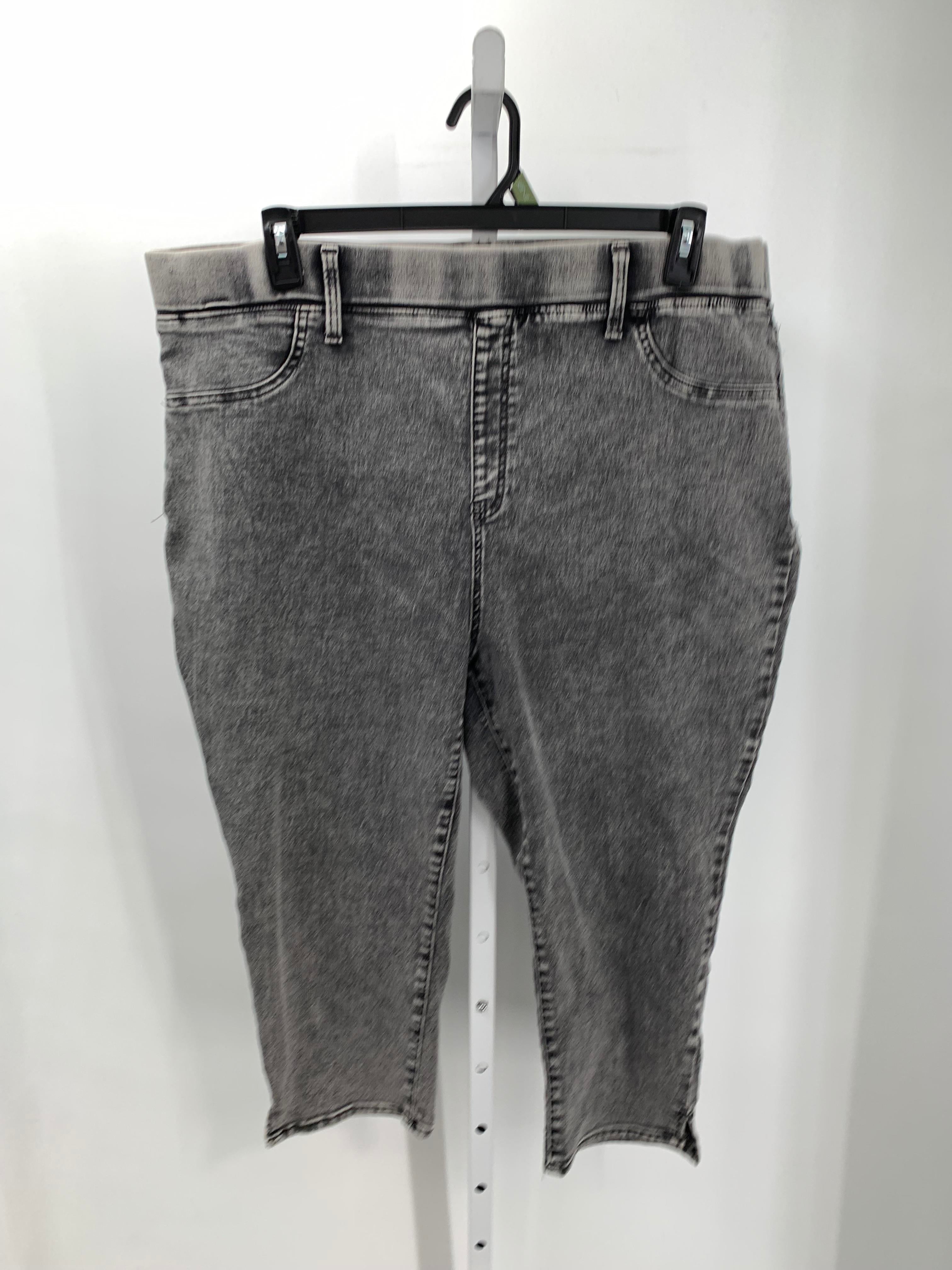 Terra & Sky Size 2X Womens Jeans