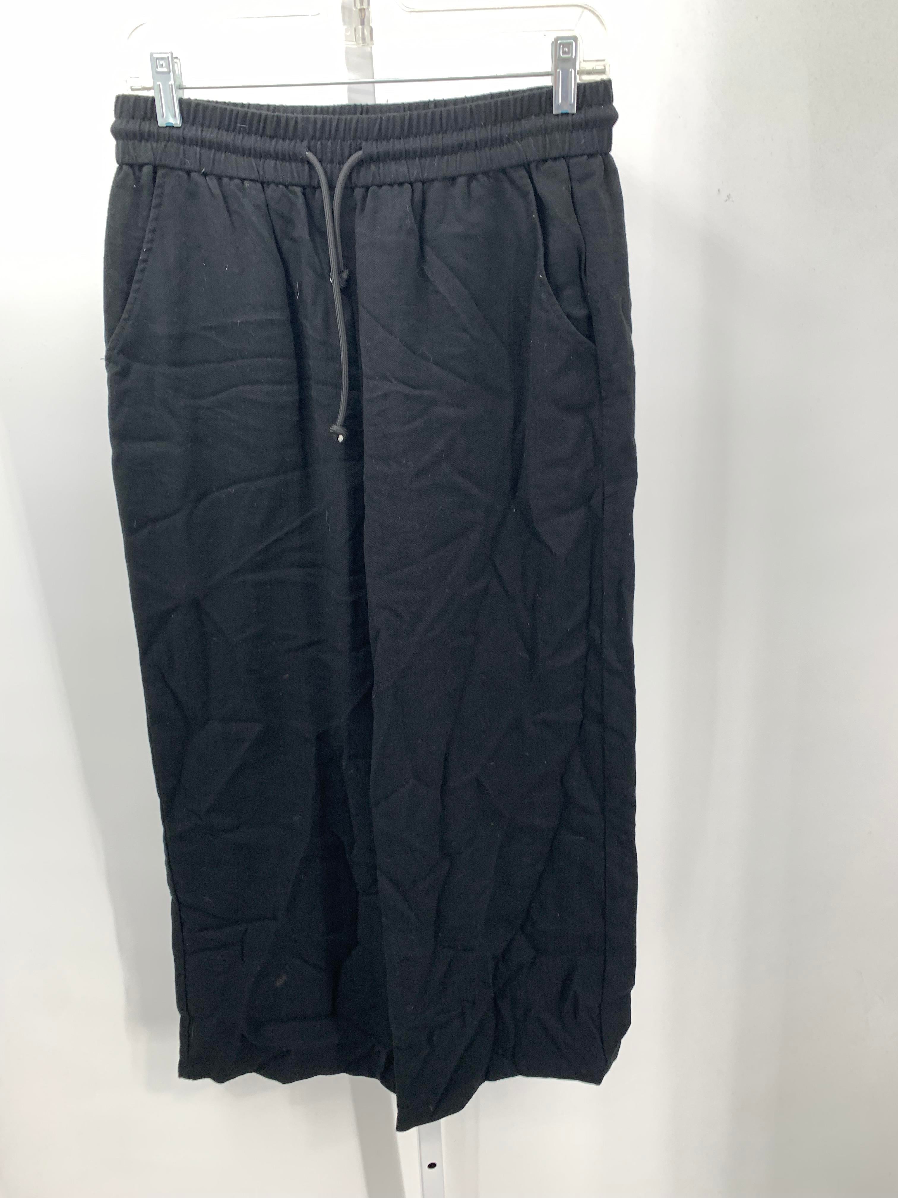 Size Medium Petite Petite Pants