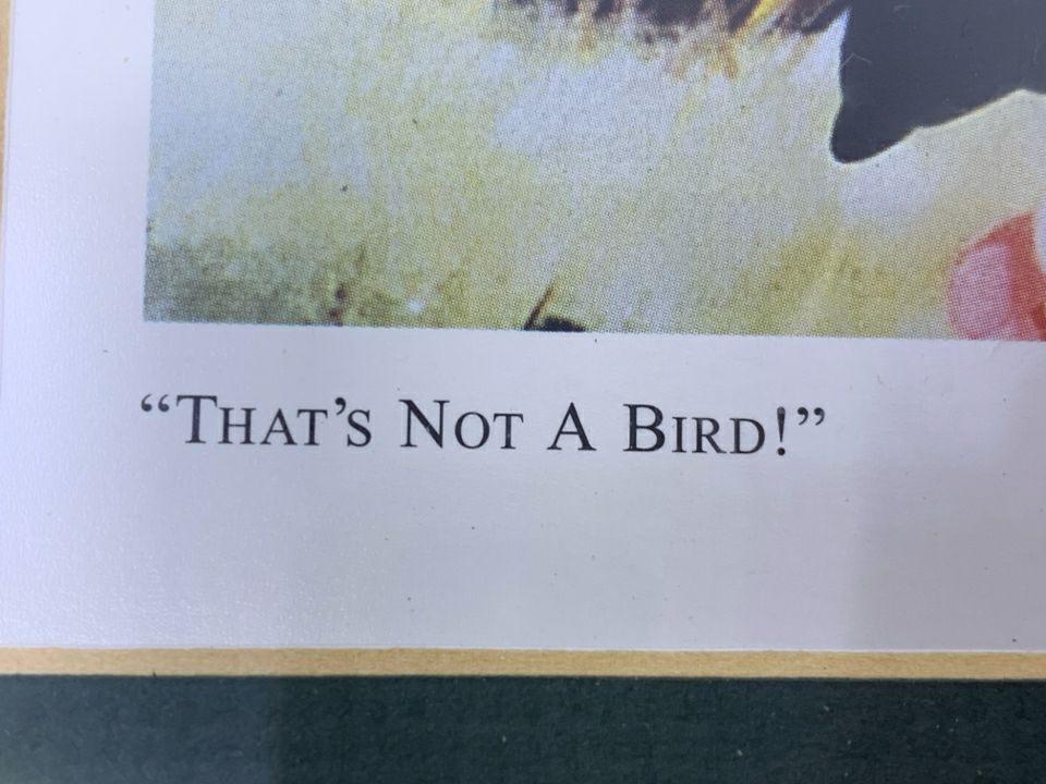 THAT'S NOT A BIRD- BAMBI FRAMED PRINT.