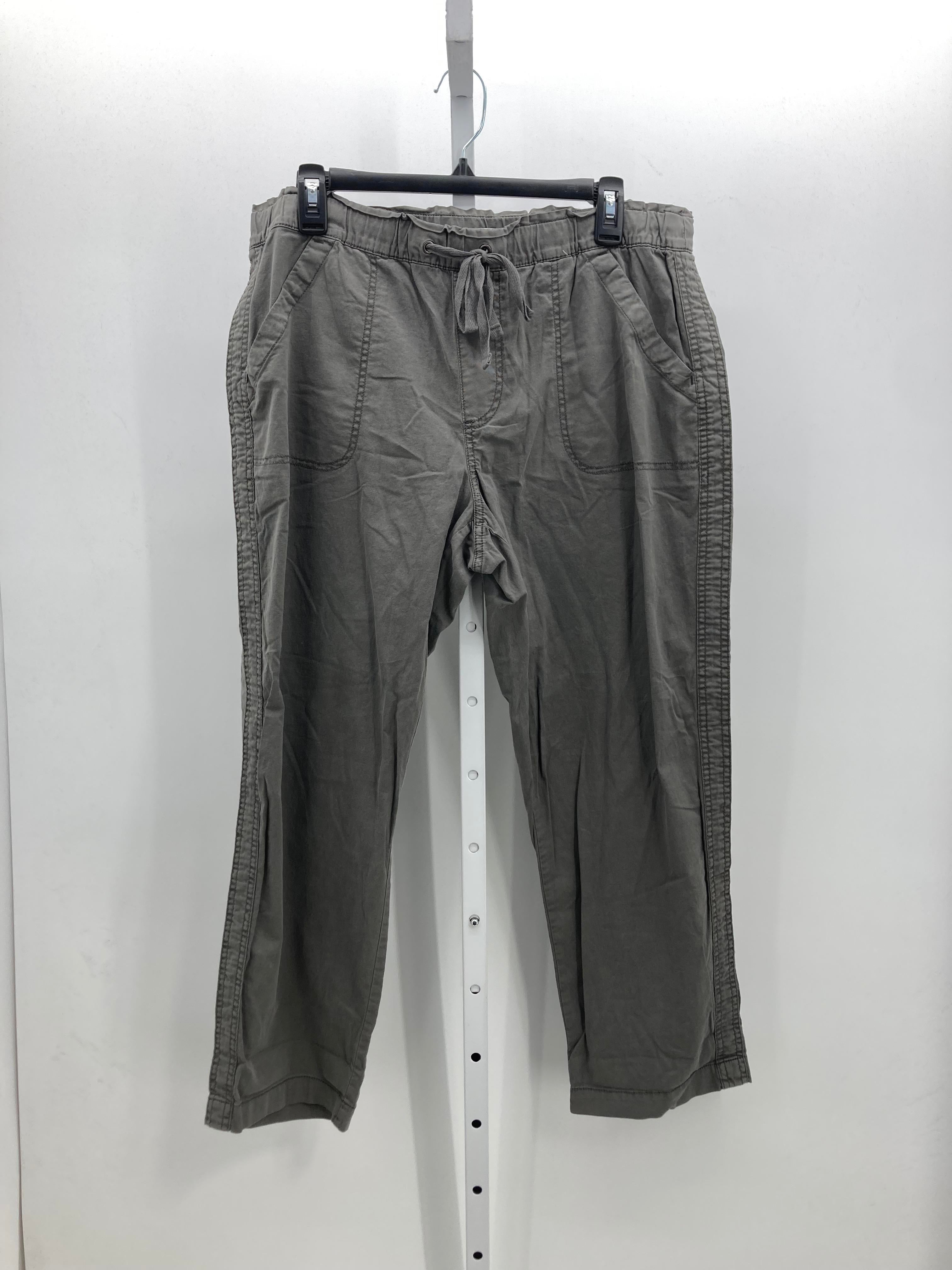 Sonoma Size Large Misses Pants