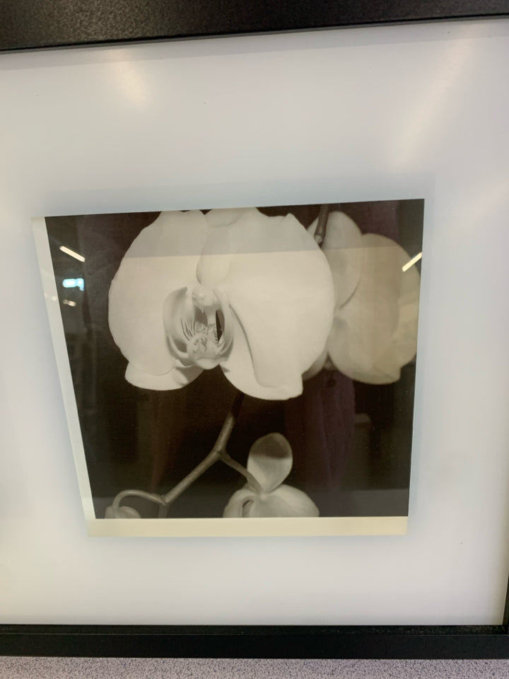 BLACK/WHITE FLOWERS SHADOWBOX WALL ART.