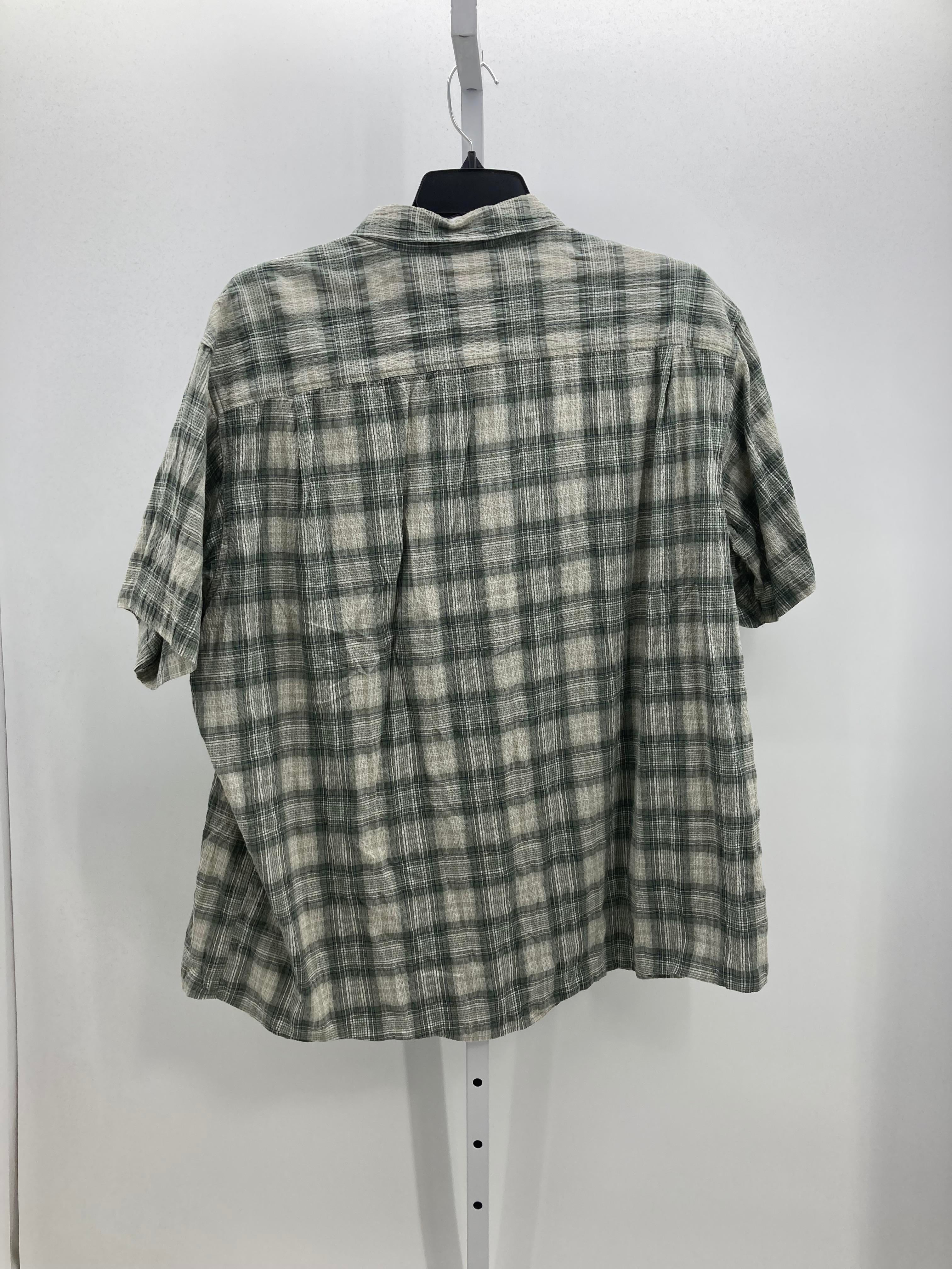 PLAID BTN DOWN