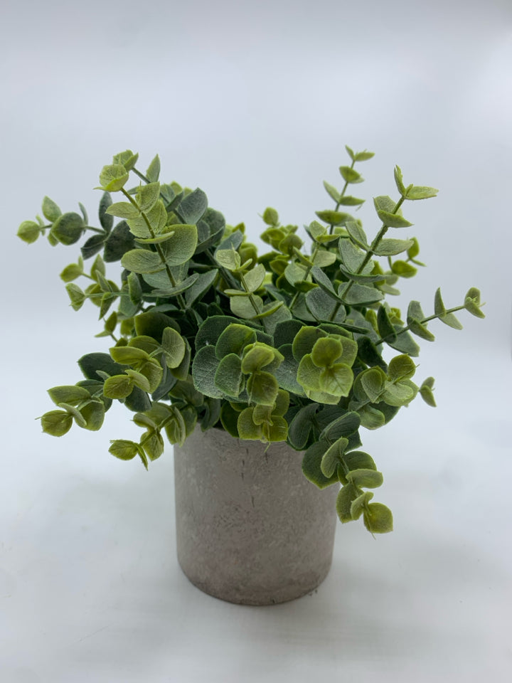 SM FAUX EUCALYPTUS IN PLANTER.