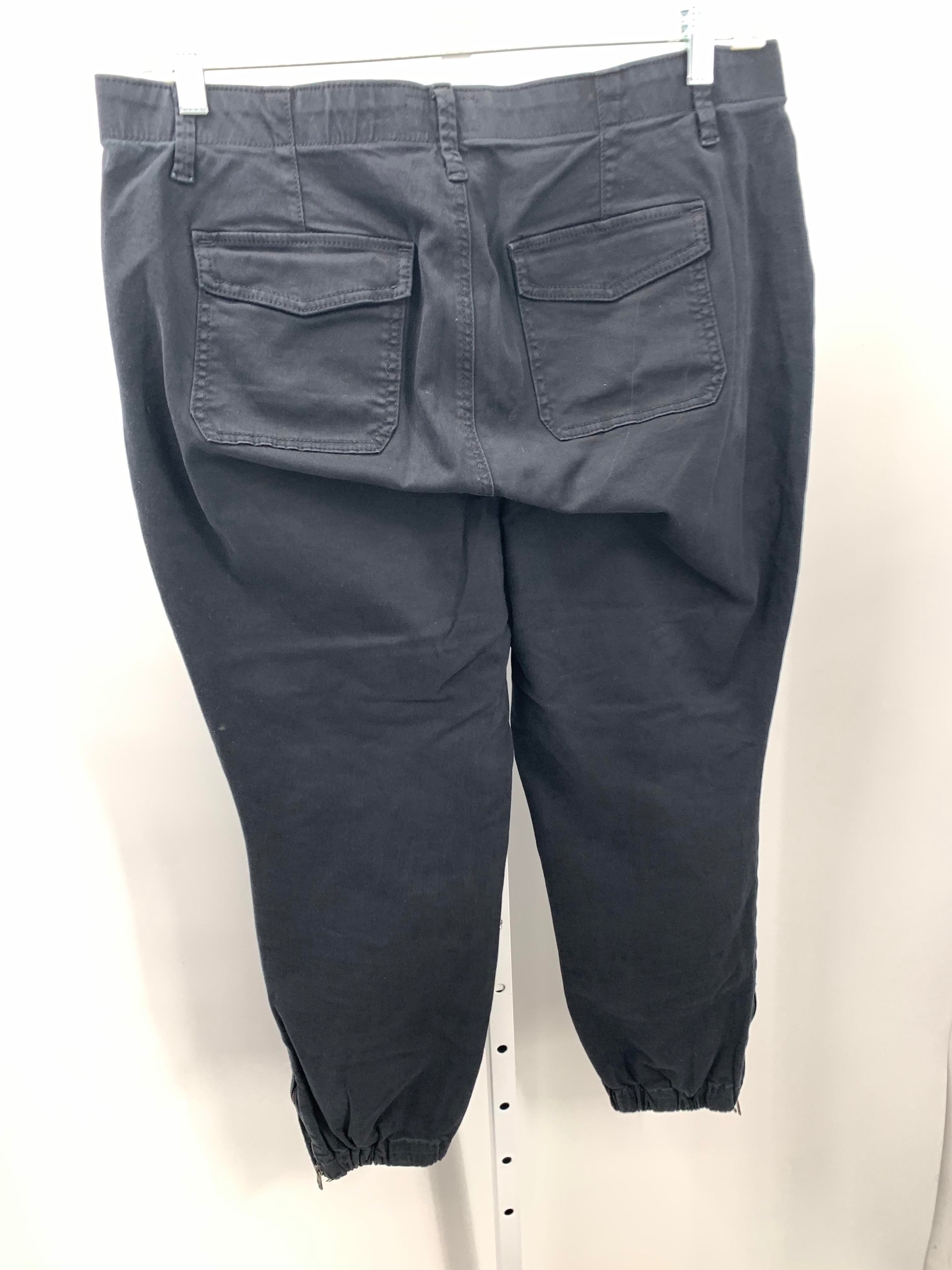 Torrid Size 16 W Womens Pants
