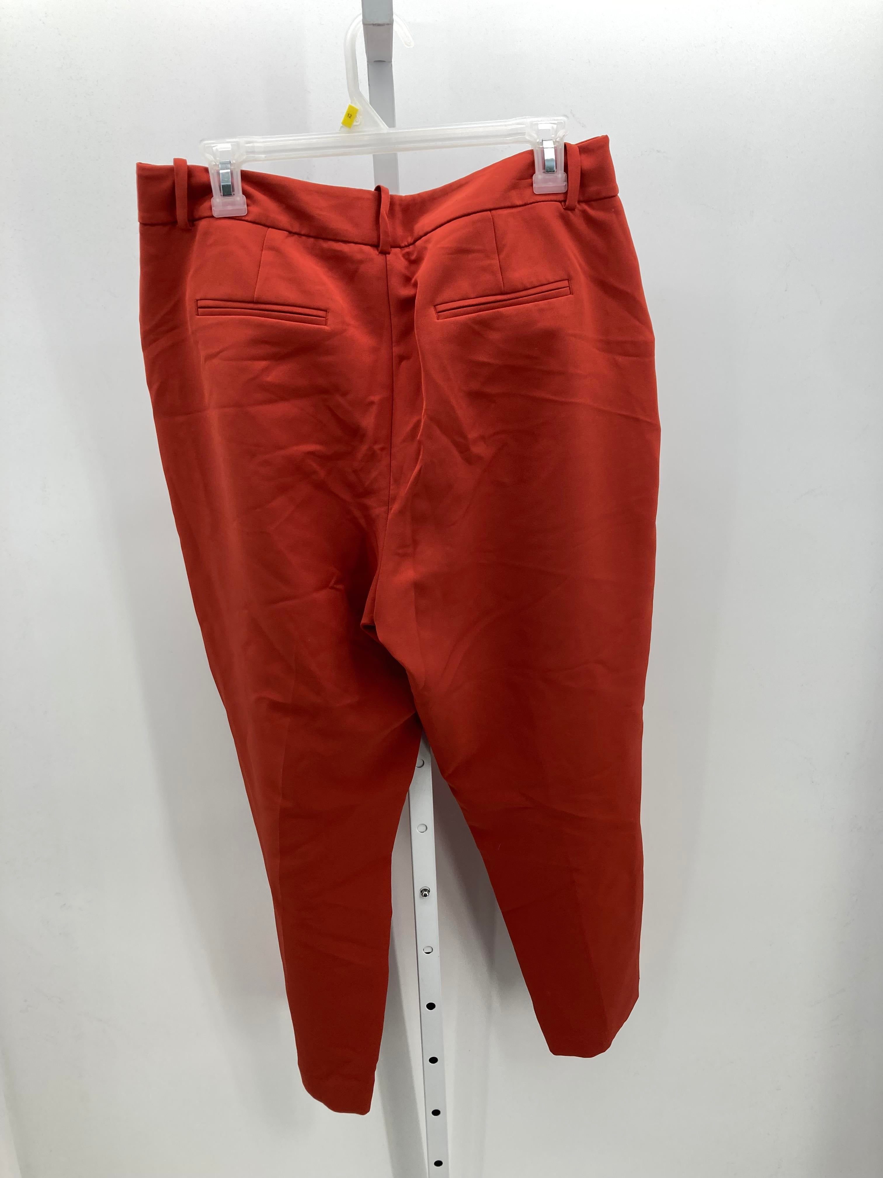 A New Day Size 12 Misses Pants