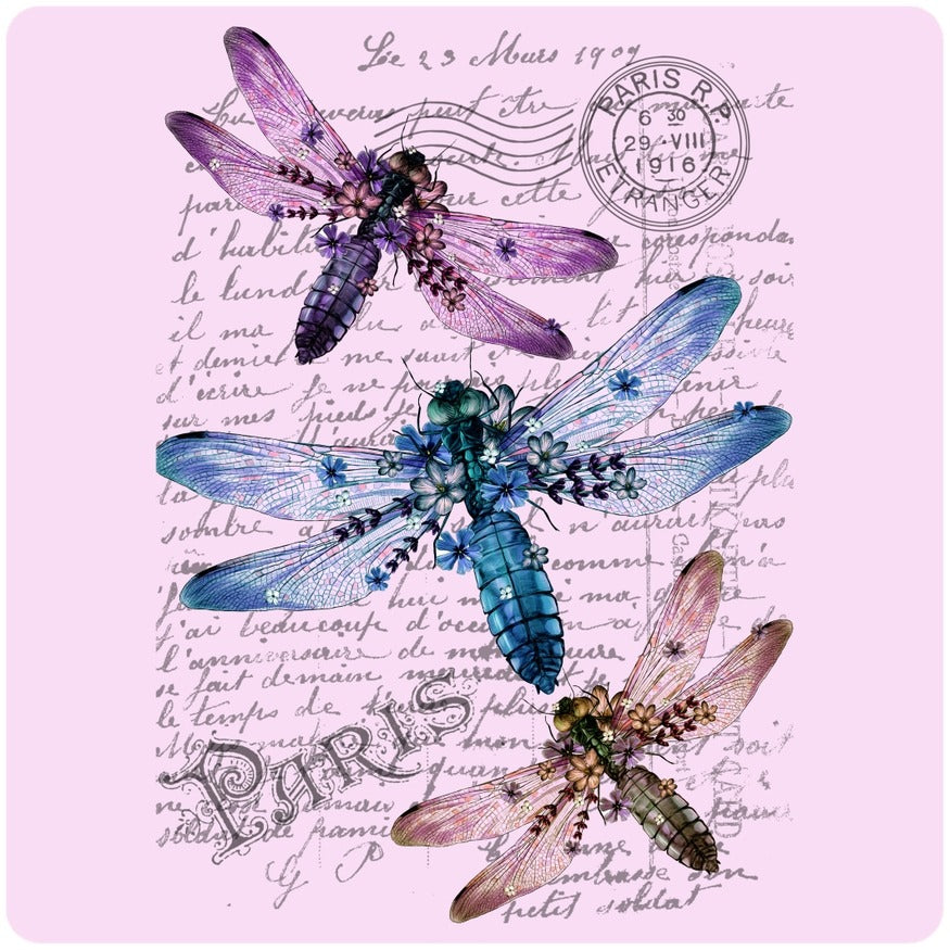 New - Andreas Silicon Jar Opener - AL Paris Dragonfly