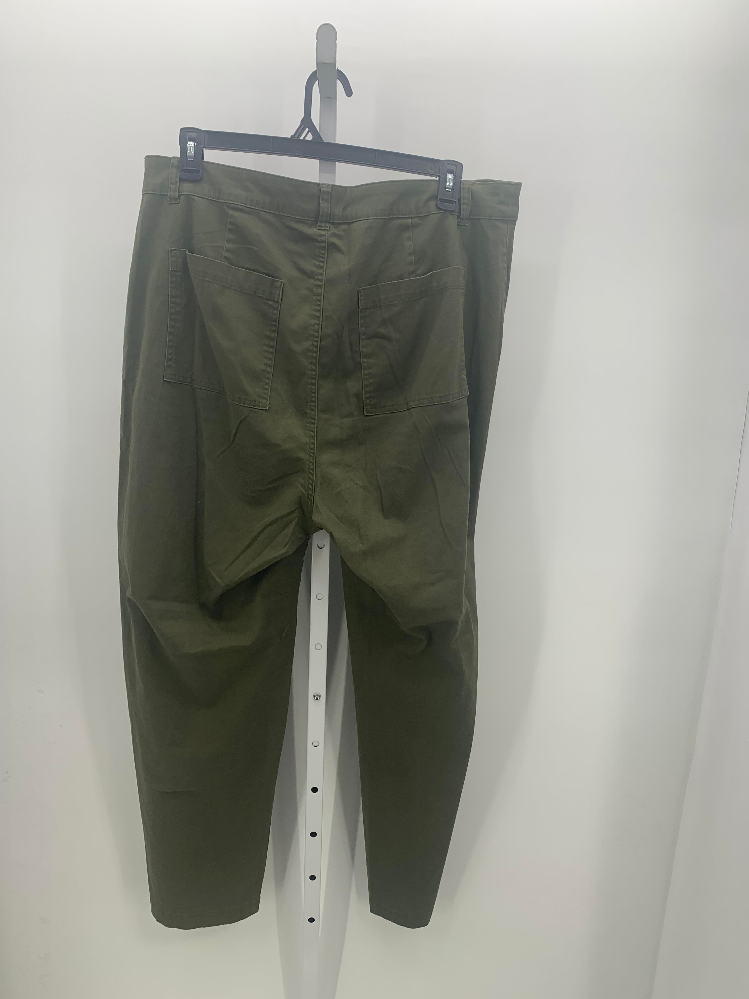 A New Day Size 18 Misses Pants