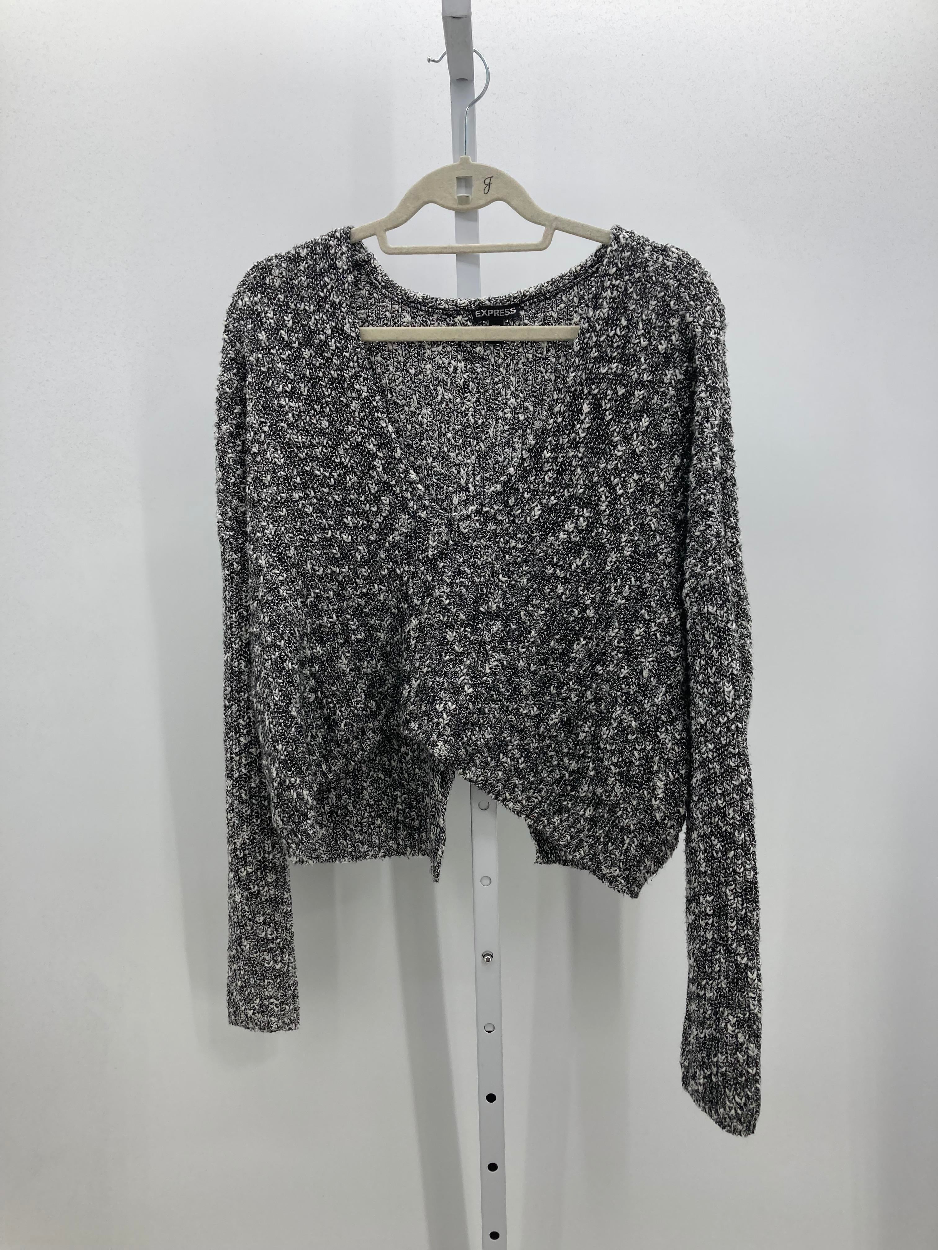 Express Size Medium Misses Long Slv Sweater