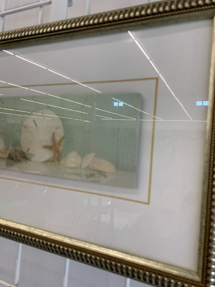 RAISED SEASHELL STILL-LIFE IN FRAME.