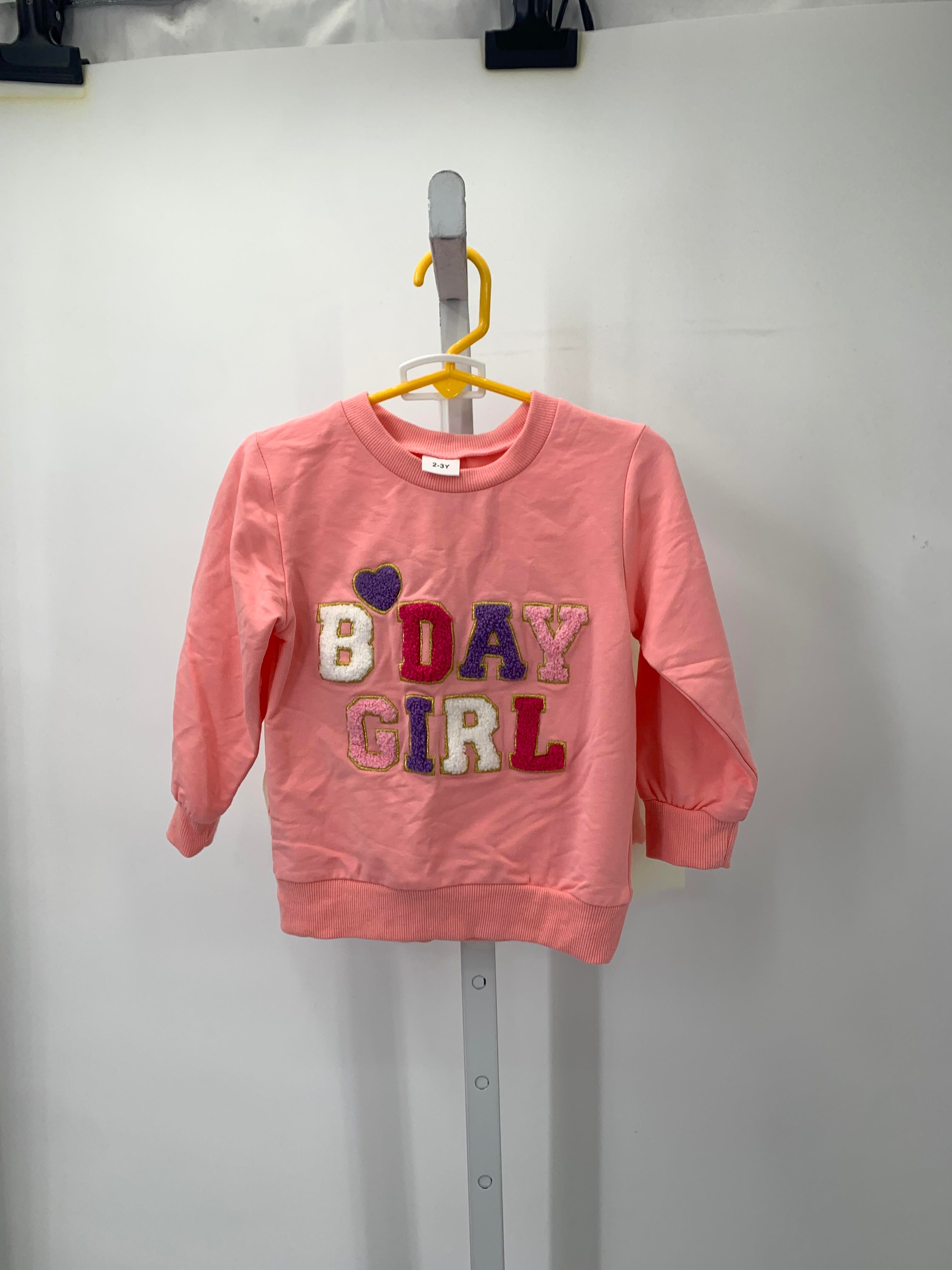 Size 2-3 Girls 2 Pieces