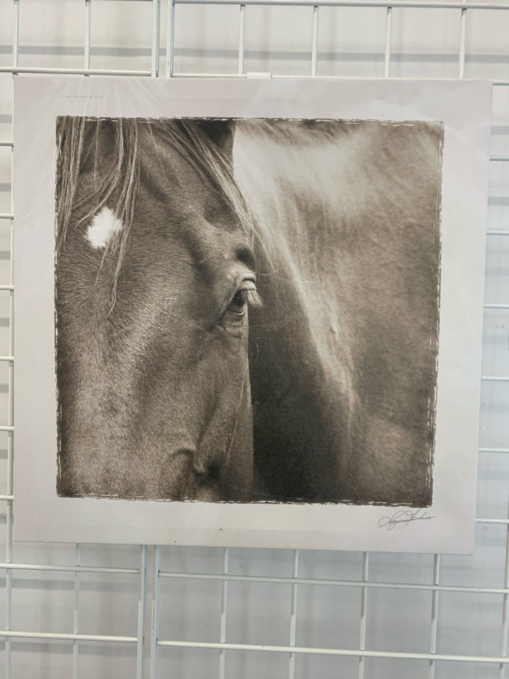 HORSE FACE CLOSE-UP WRAPPED CANVAS.