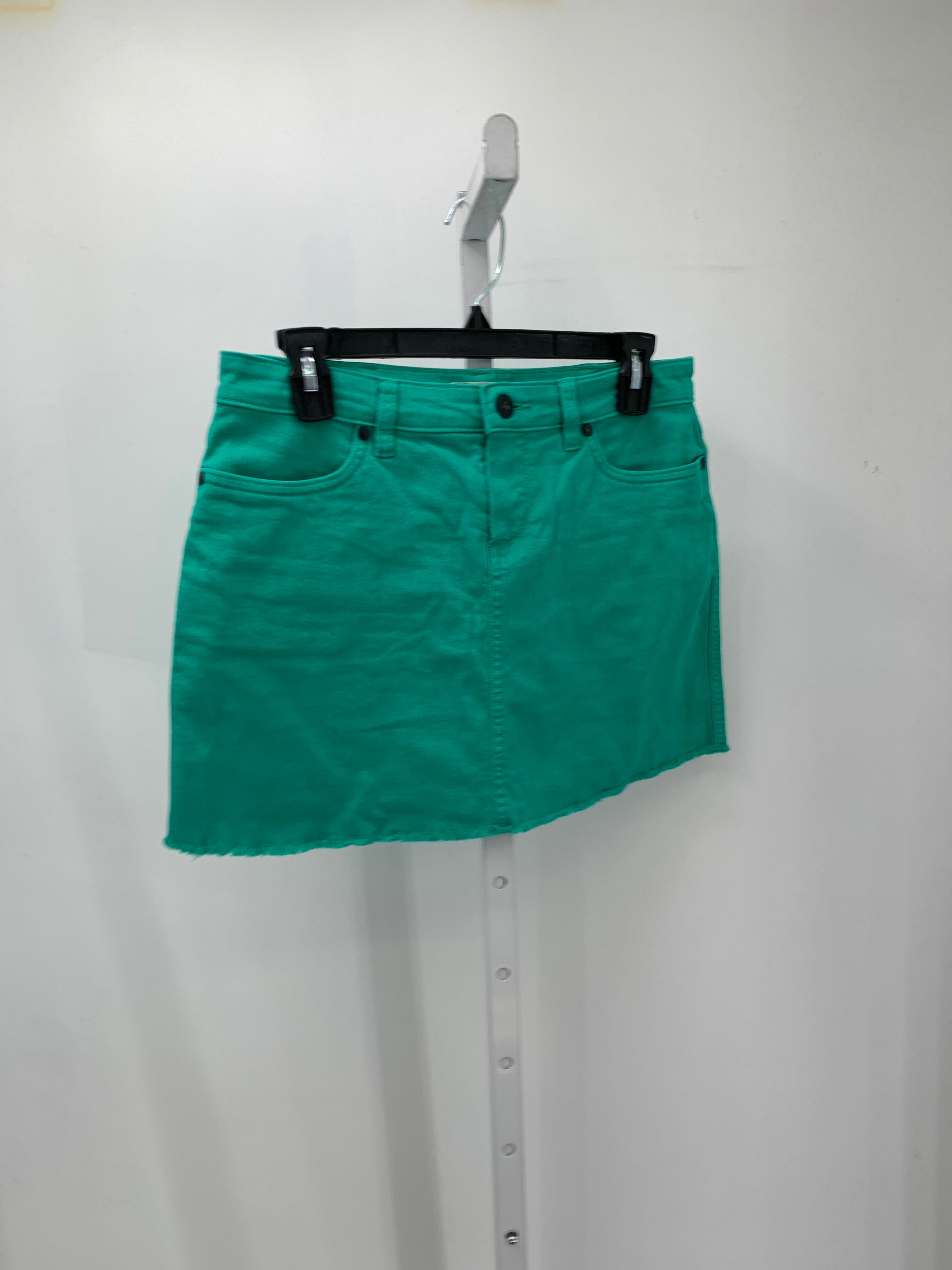 Size 2 Misses Skirt