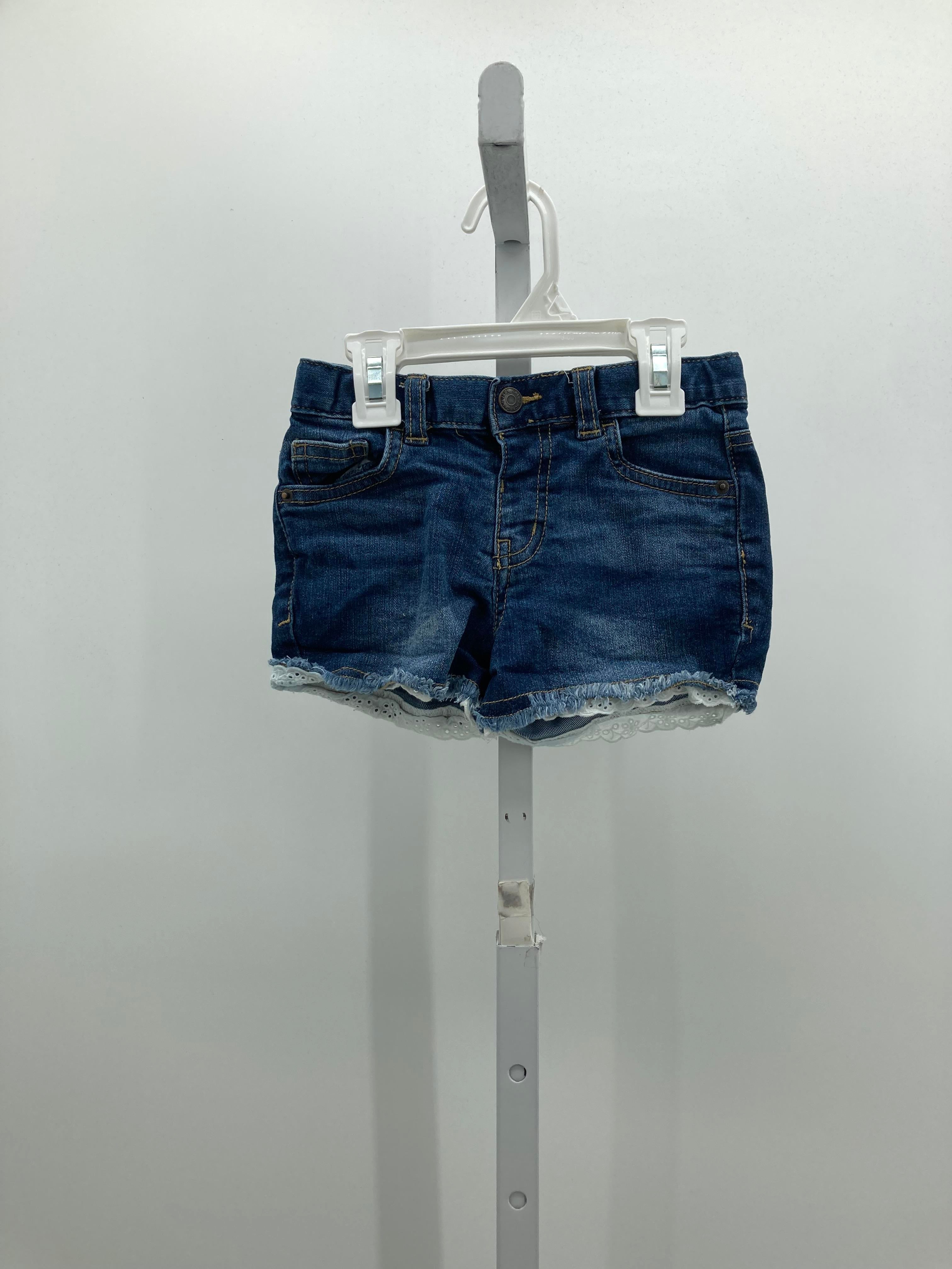 Cat & Jack Size 5T Girls Shorts