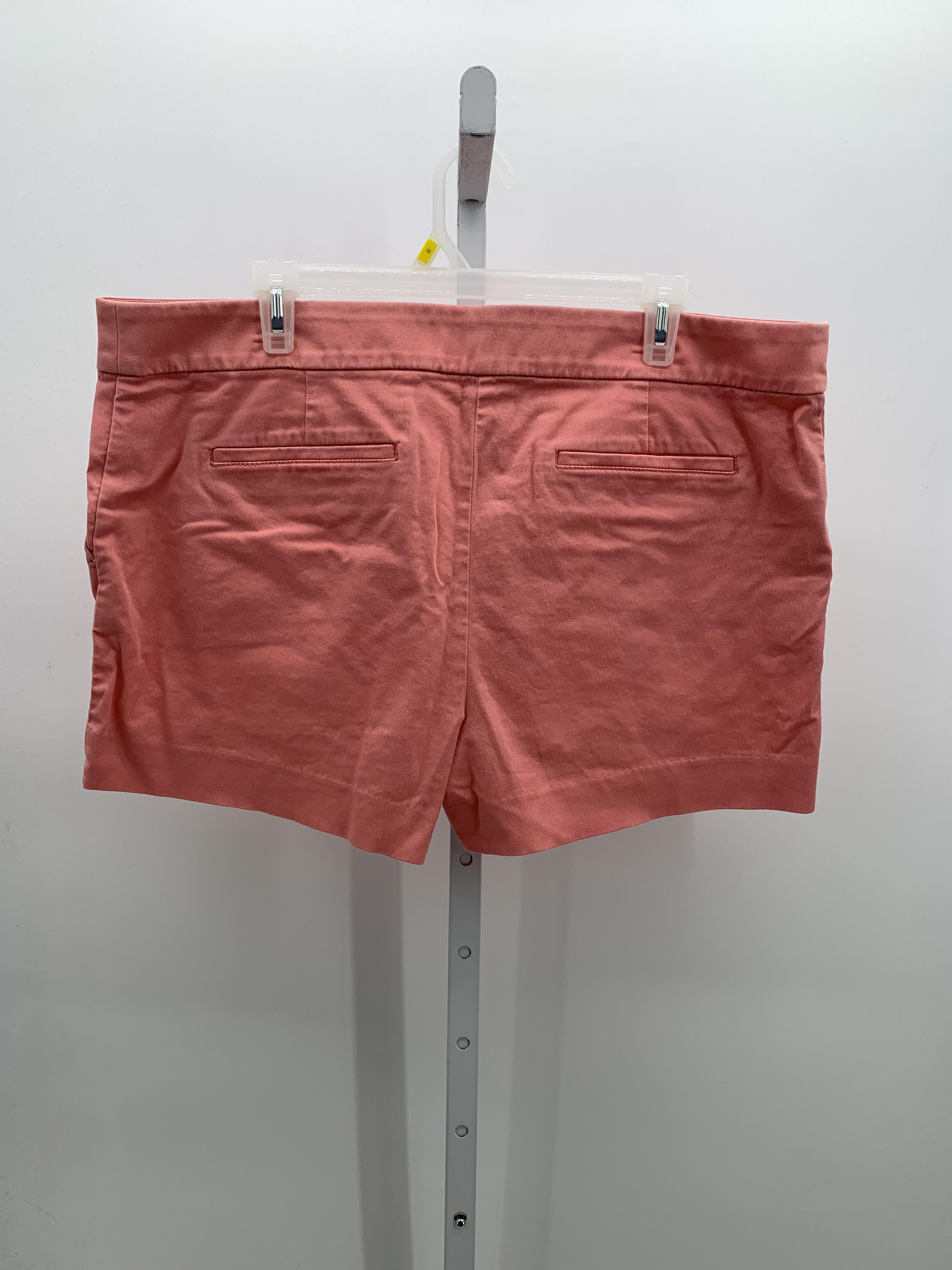 Loft Size 16 Misses Shorts